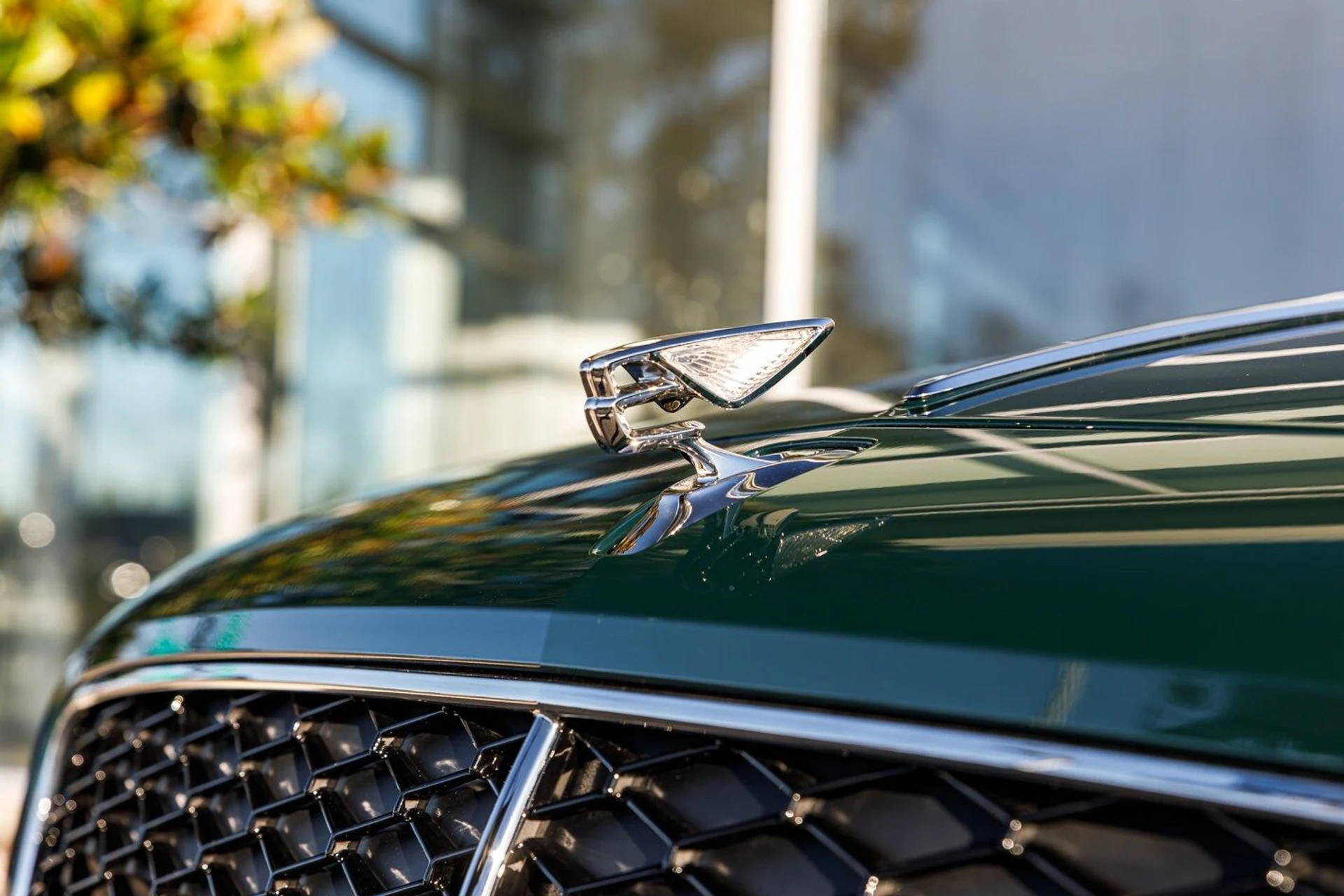 mph003_1585872793_4d9a1e8a66c8149aaba0e3f2b1b6dab7x_0c75c5edbc