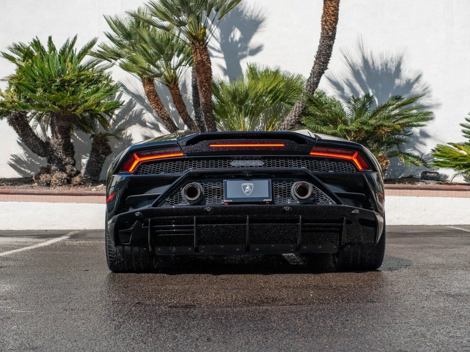 mph003_1659773773_7abf0d5a3ee55fbab5ff3598e4672a7fx_c1883317e4