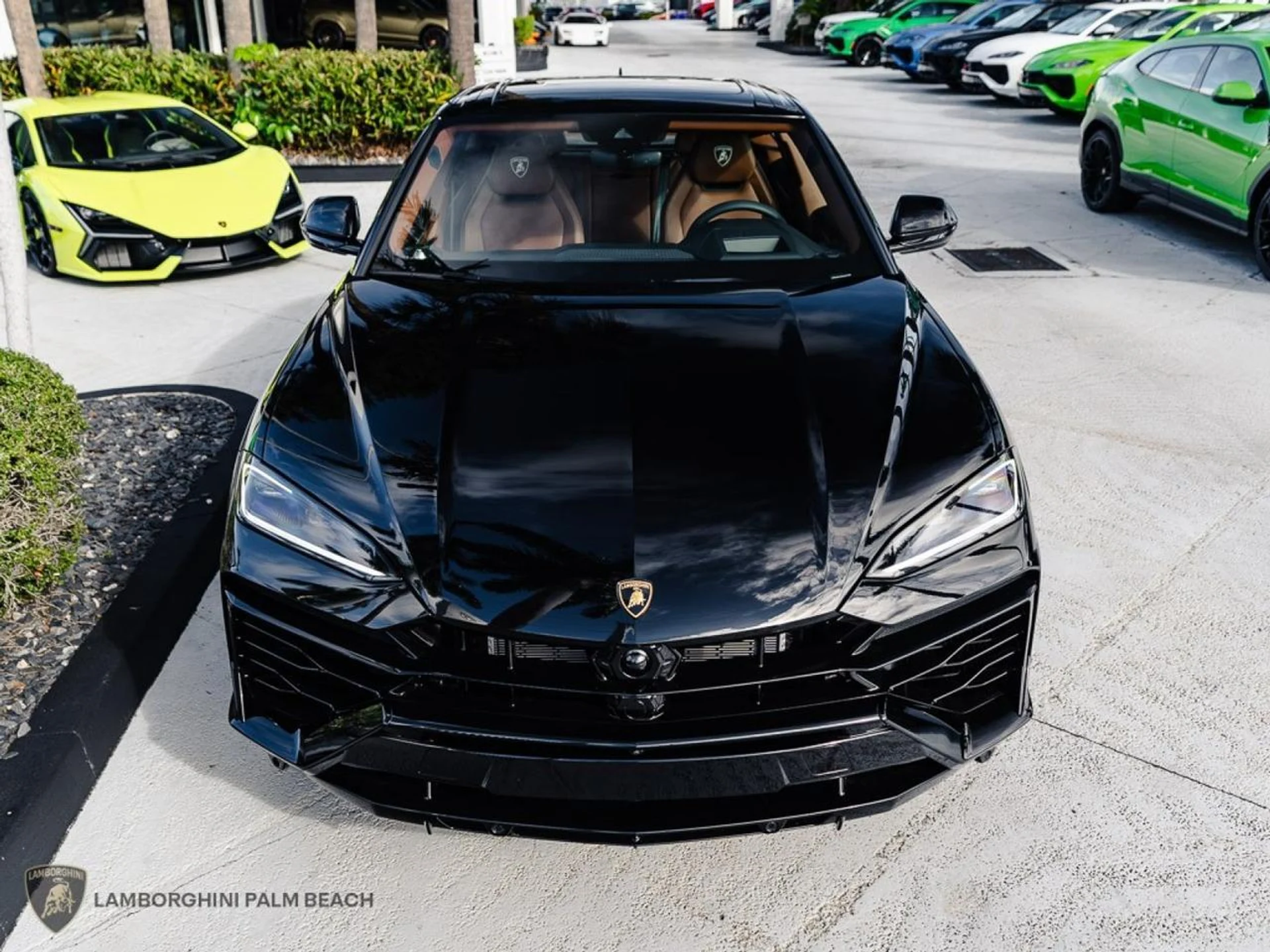 mph003_2171446036_17497d3235a8f3fb25a2343622442df8_77ea83e8aa