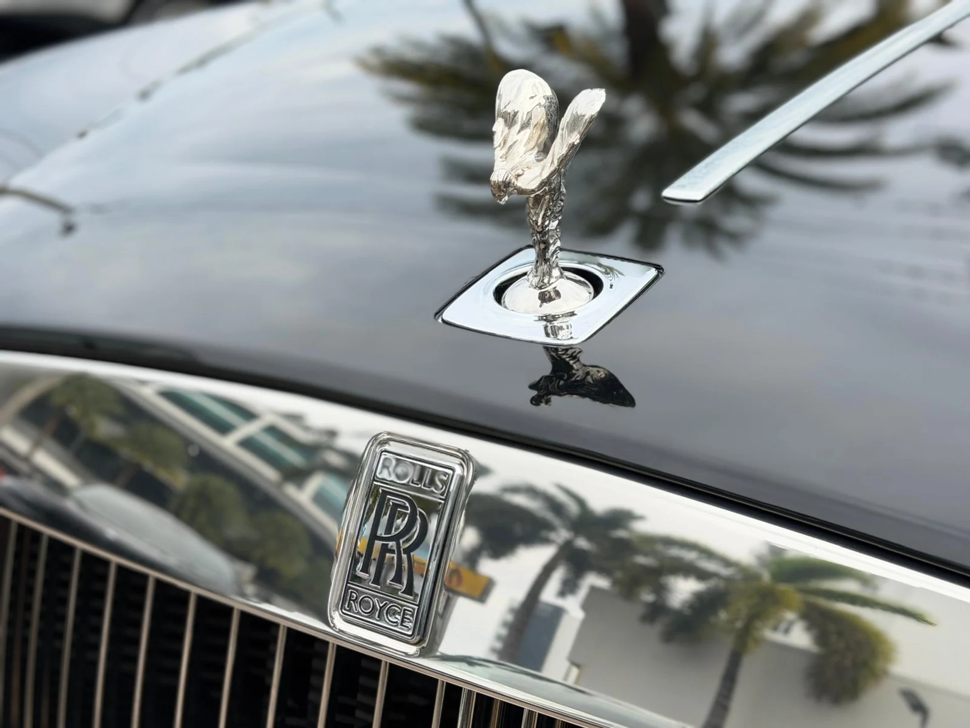 mph003_2277619742_IMG_20251212_WA_0099_2a1e59cca8