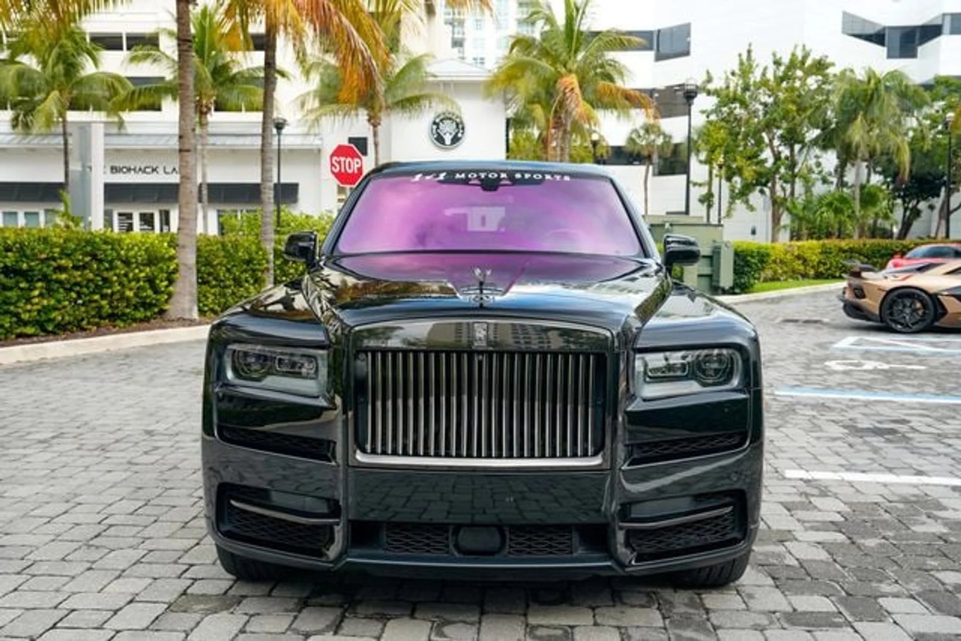 mph003_229763056_22971405_4_6c17fc9e46