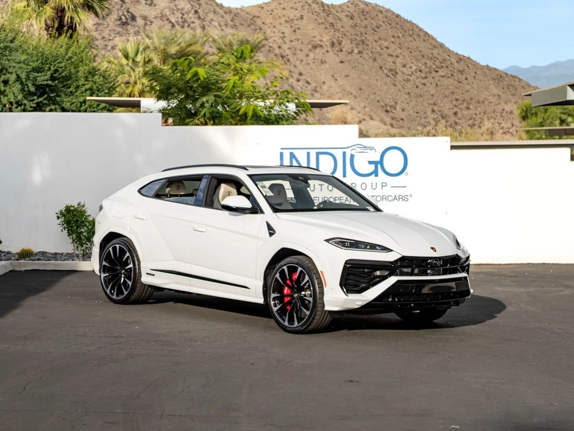 mph003_2323711467_4_d39271a932