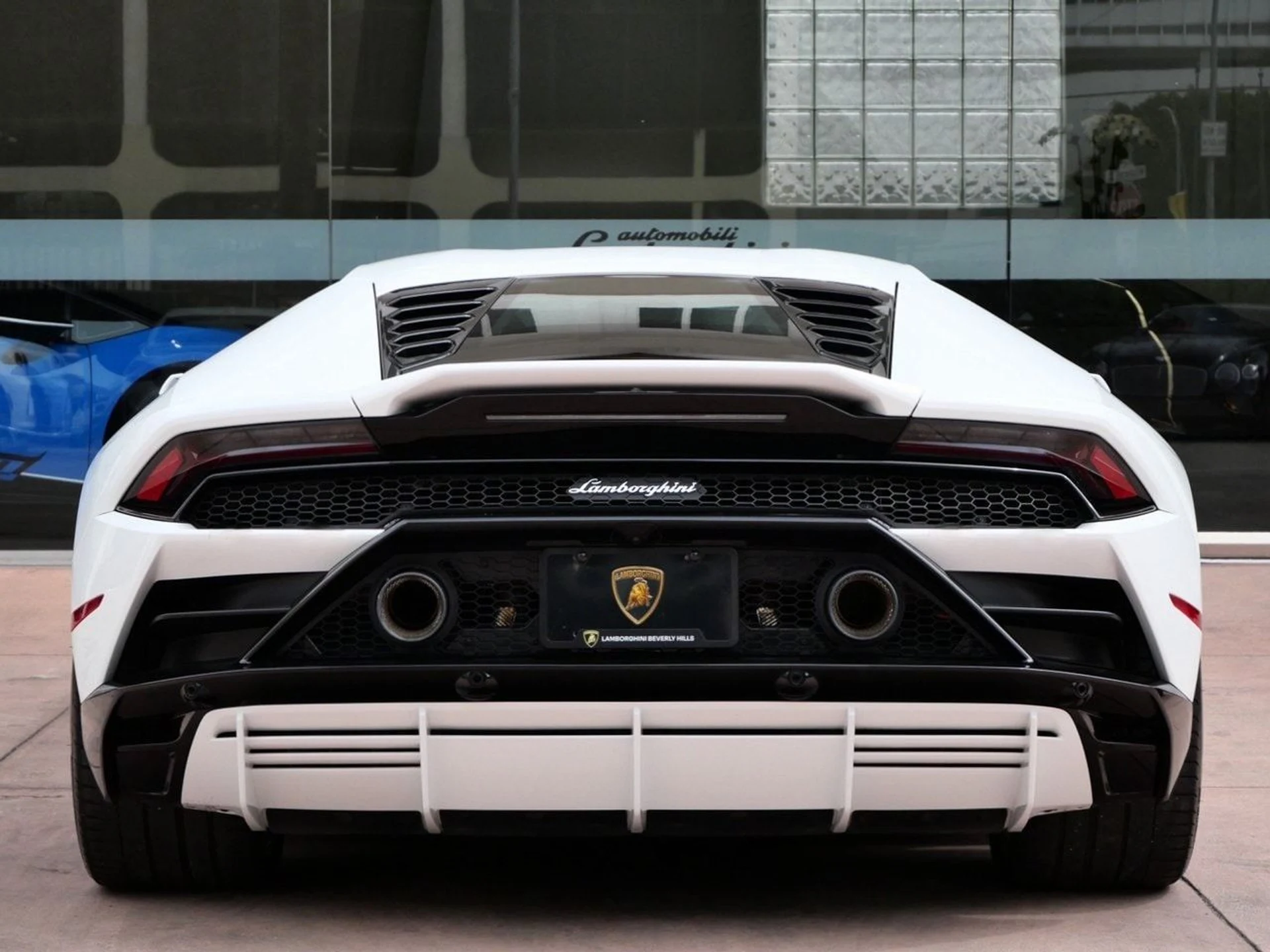 mph003_2417643579_160668ad16ed3341f05eb8935e815f7fx_fd721fbf1e