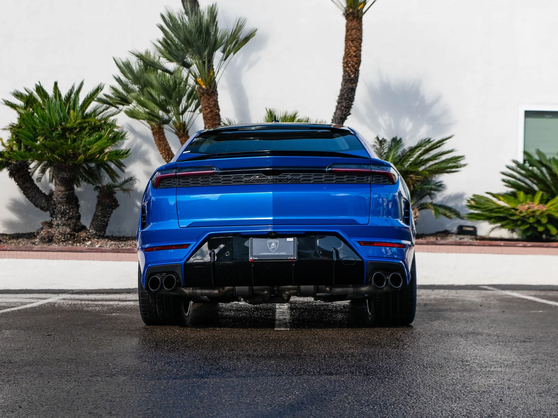 mph003_2428670872_00744fca600746caba26b6ffa74e0192_5d43a78b13