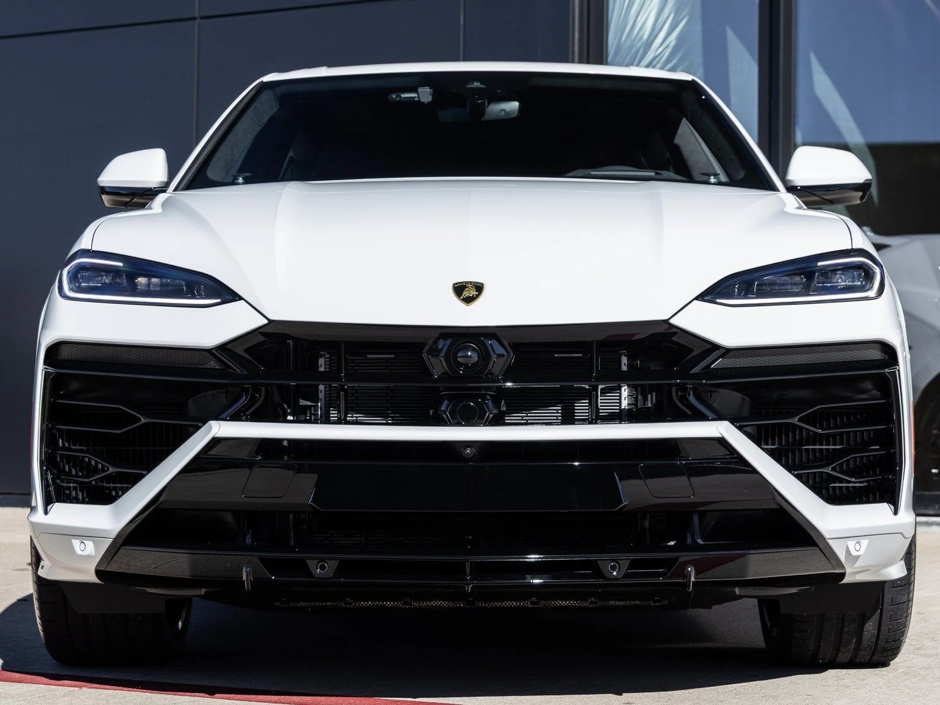 mph003_2447260852_4_233fe13a77