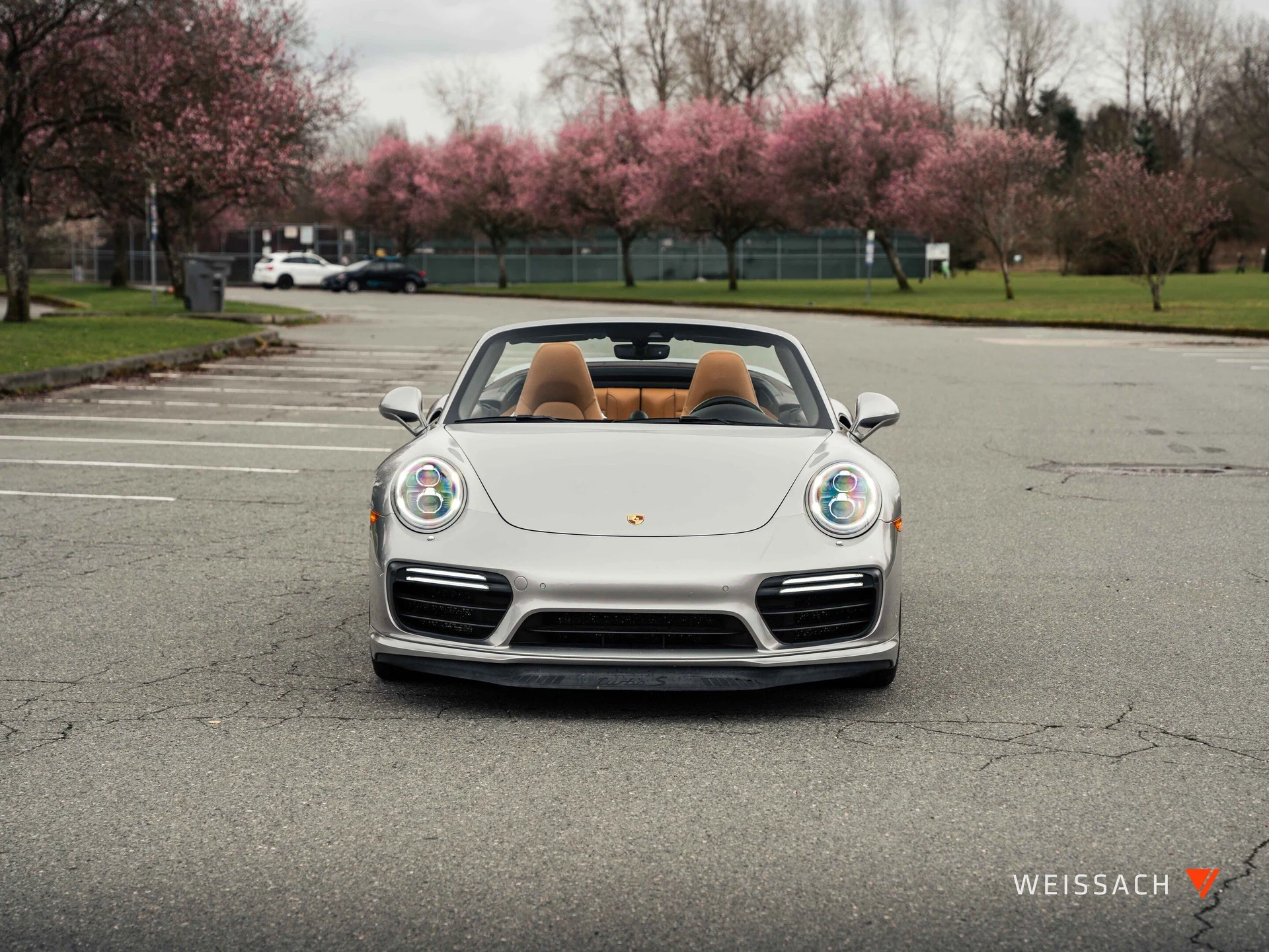 mph003_2447698876_6483e745_b236_4d8e_a87e_9fa7cbb677ea_6c2dc37bcb