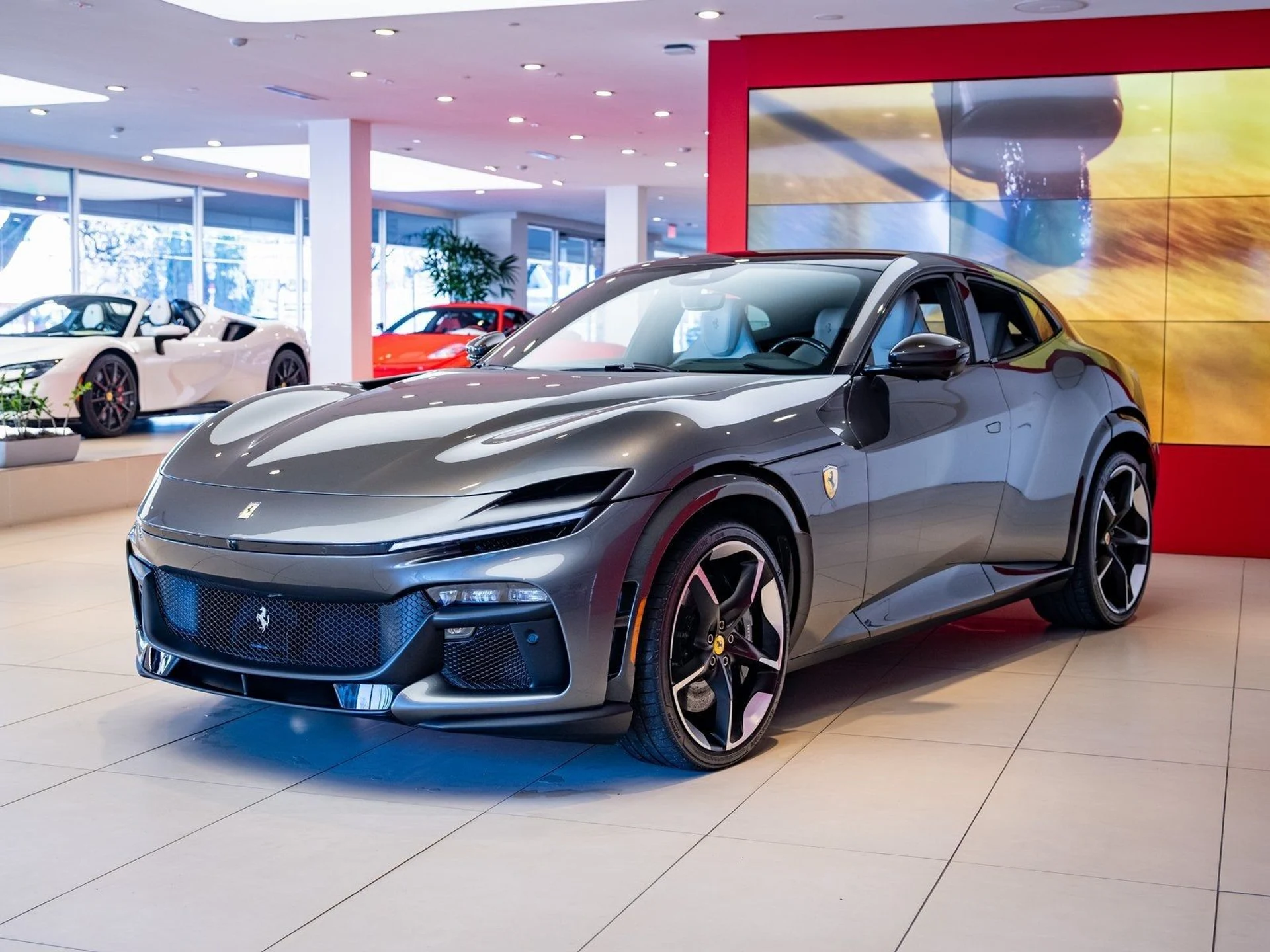 mph003_2468672195_4_8871b6f8a3