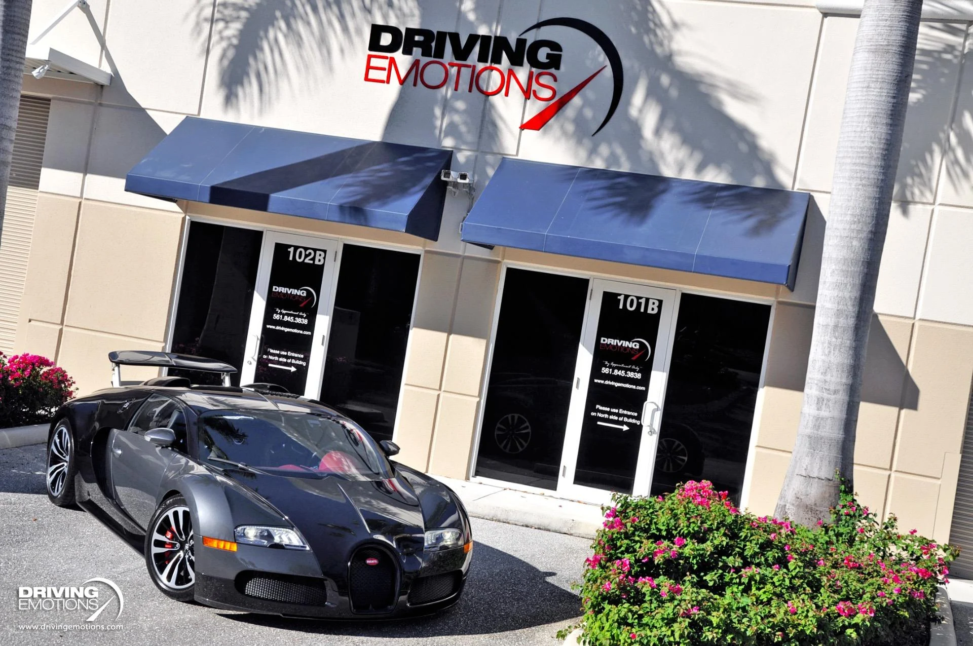 mph003_2592682501_479_p4_l_e27384f9b3