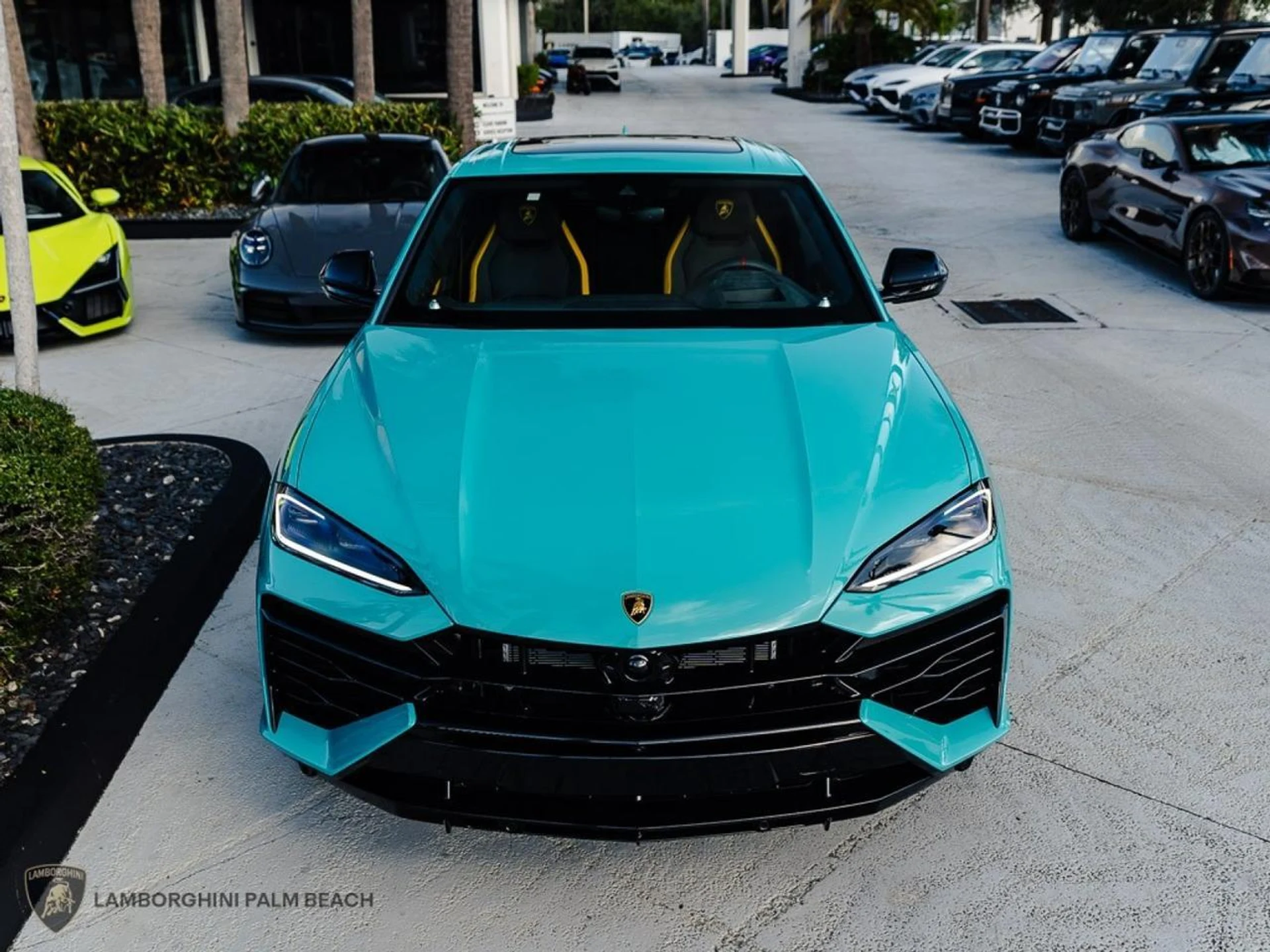 mph003_2701830191_e86e3f526e1b7fbd977887df43f4acb9_973663a22b