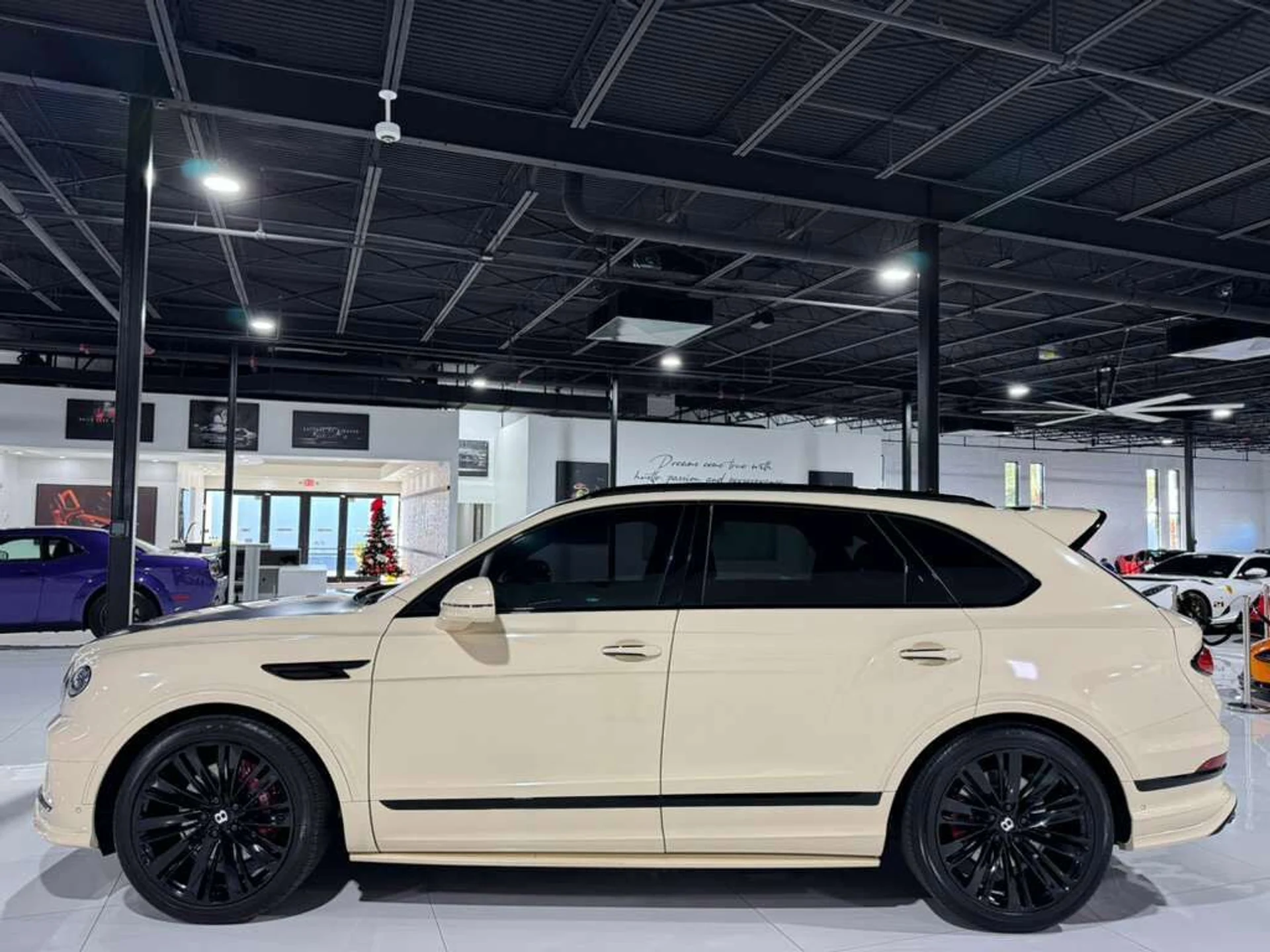 mph003_285771934_e4eb2b80e01115bafd00bba8d18903f9_1a02738aad