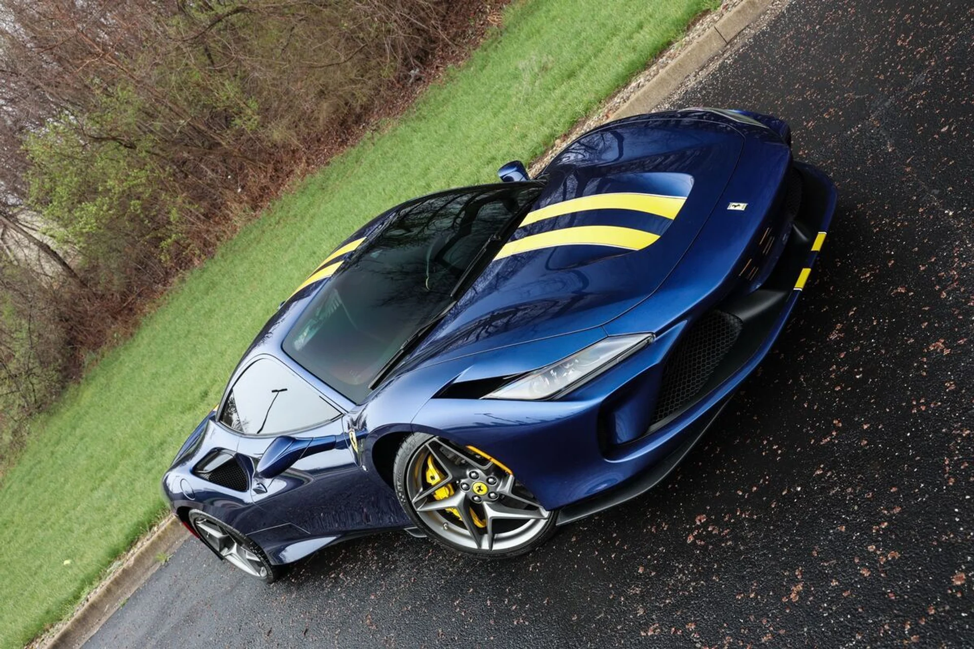 mph003_2941666384_o9kz7lajns5kxl21v8r26e5hga5d_1da6a143f9