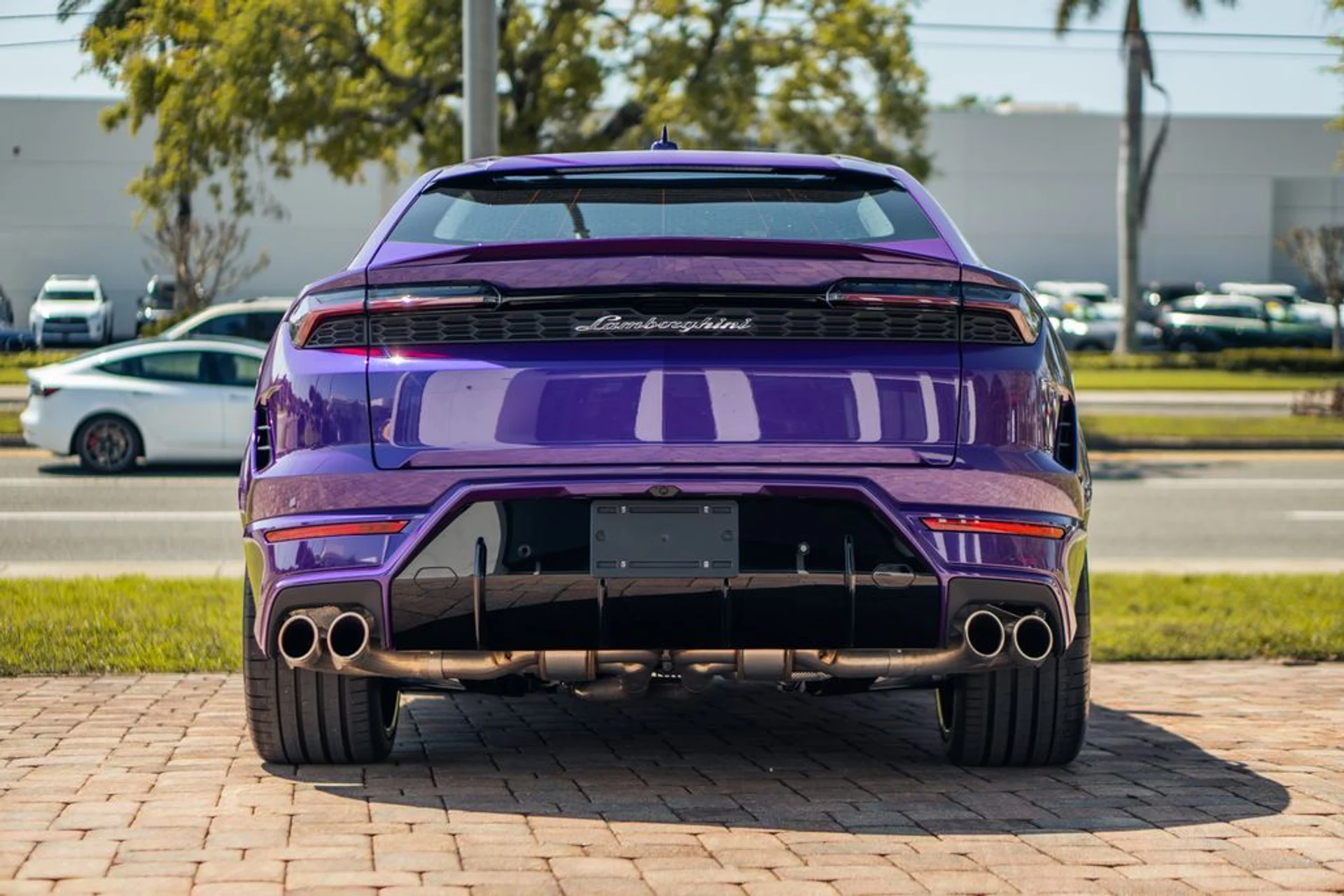 mph003_2949019398_4bcca6bea87c7078897951d849accb45x_a59873d6c9