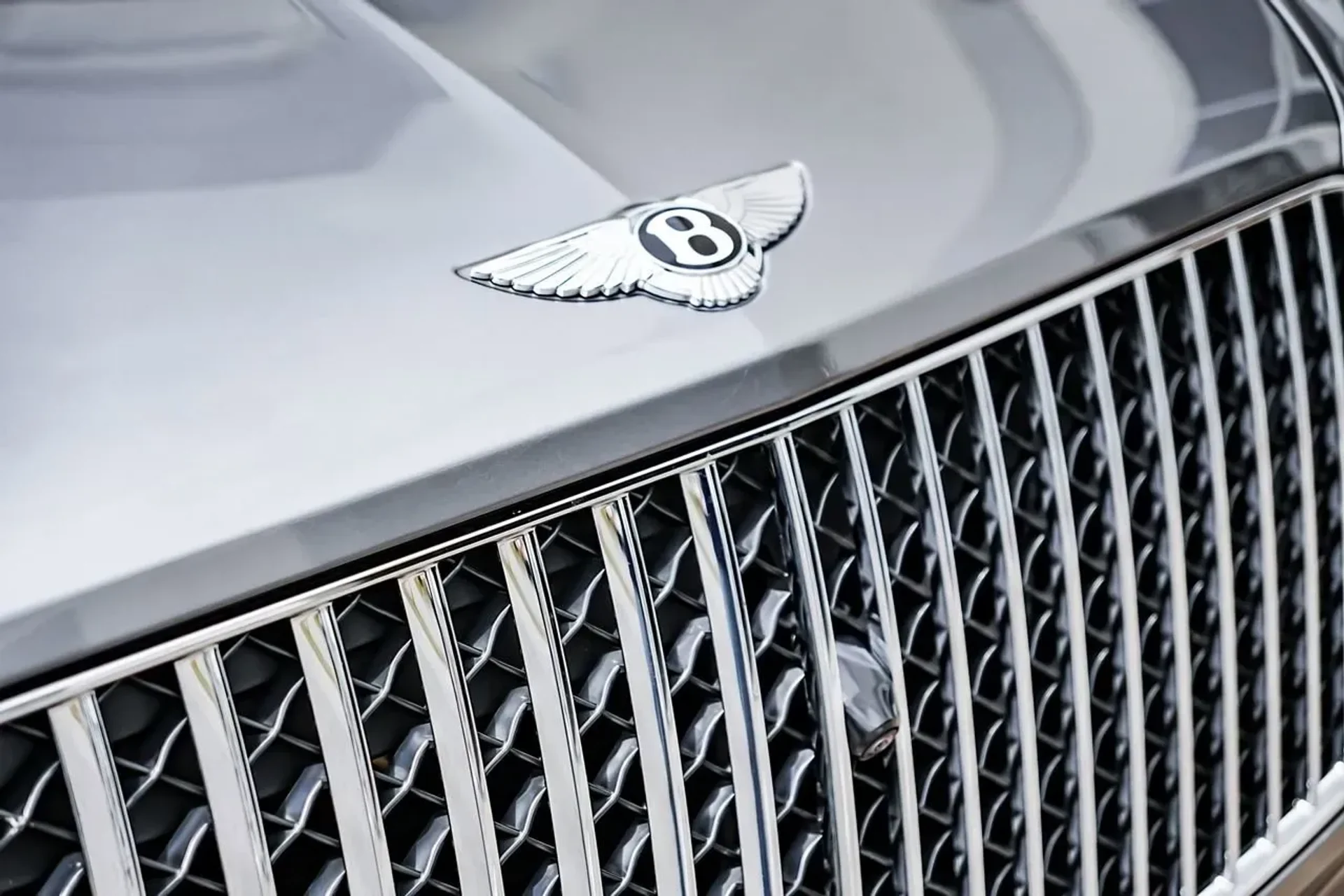 mph003_3182545583_7a56224720494b558adc2a3836886409_f1086974b7