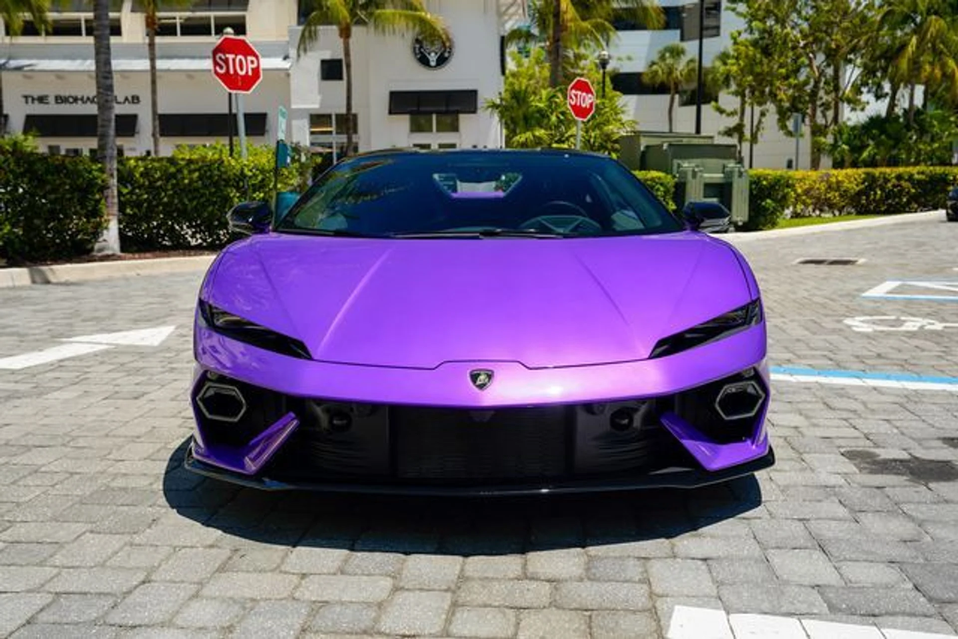 mph003_3220534522_23014494_4_35d25b7733