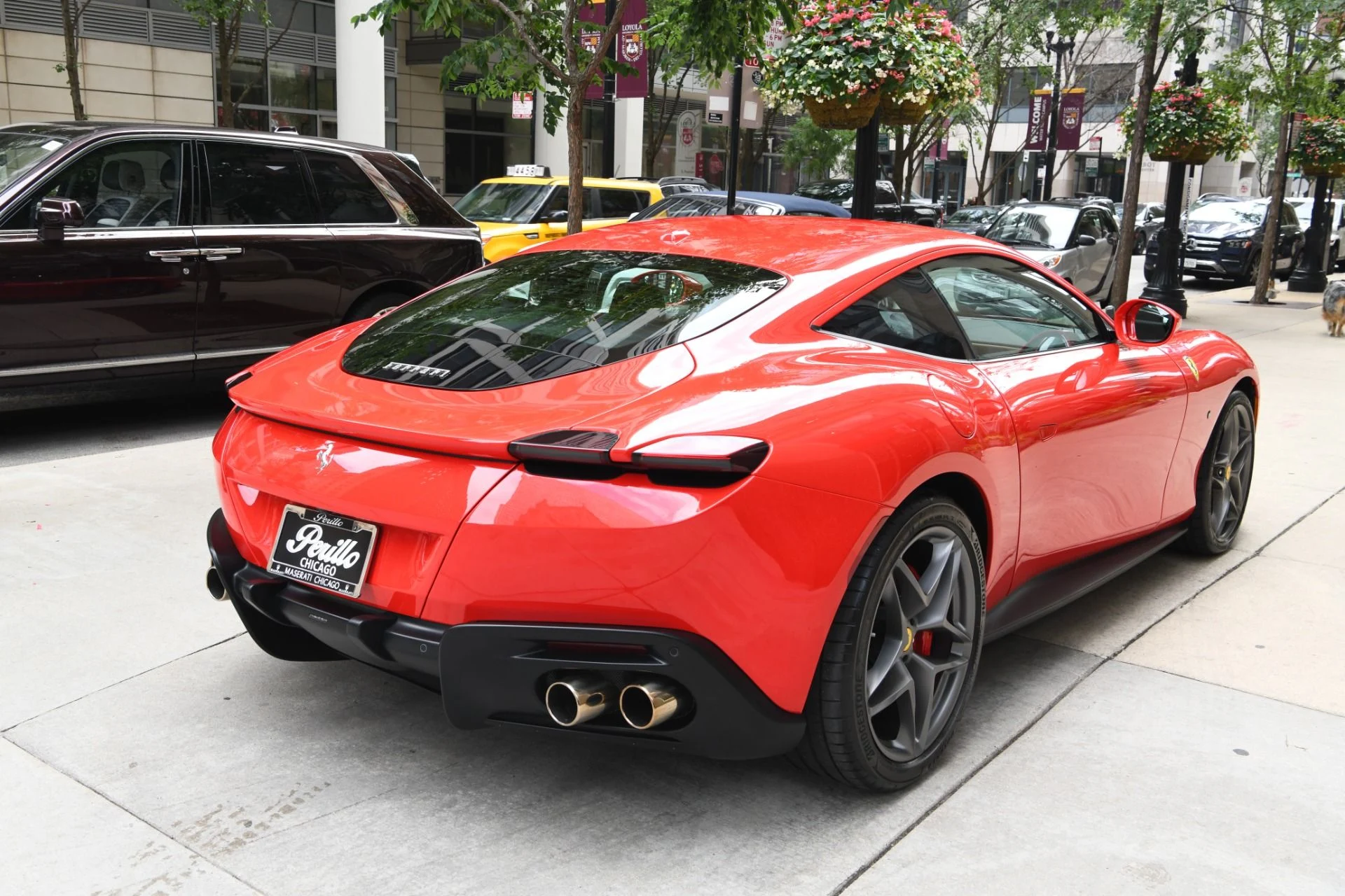 mph003_3426538655_11891_p5_l_a2a1cac48a