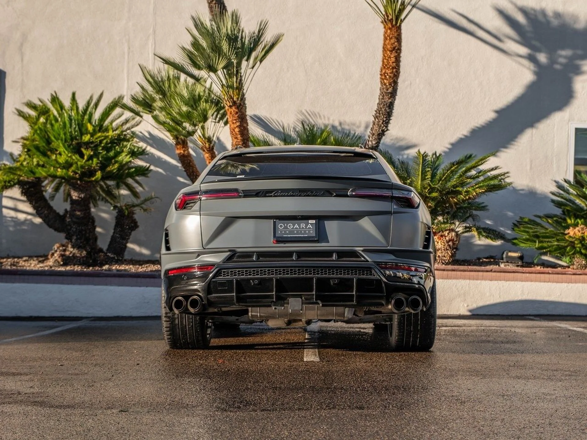 mph003_3500225836_8c88b11e88a8ec6f90e270c24be60bd7x_f9d99c6a24