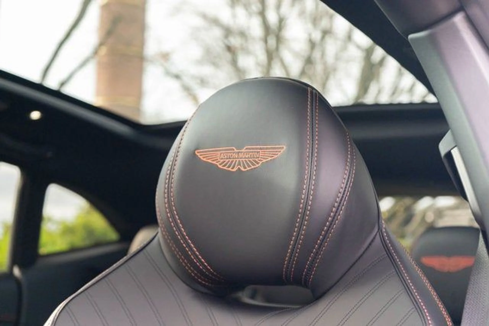 mph003_3505957405_4_67a1019ccc