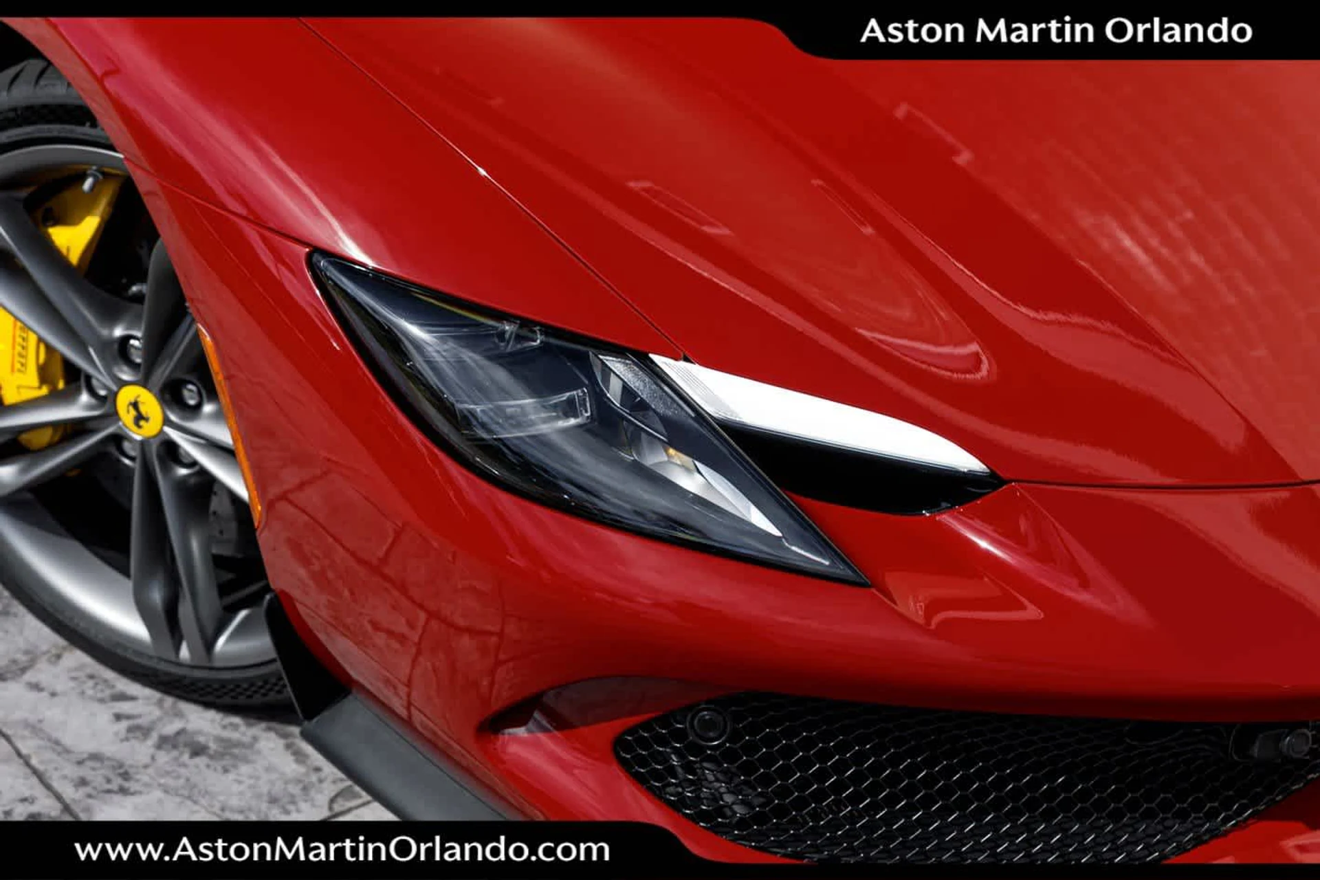 mph003_3512618118_4_168a9d8cc8