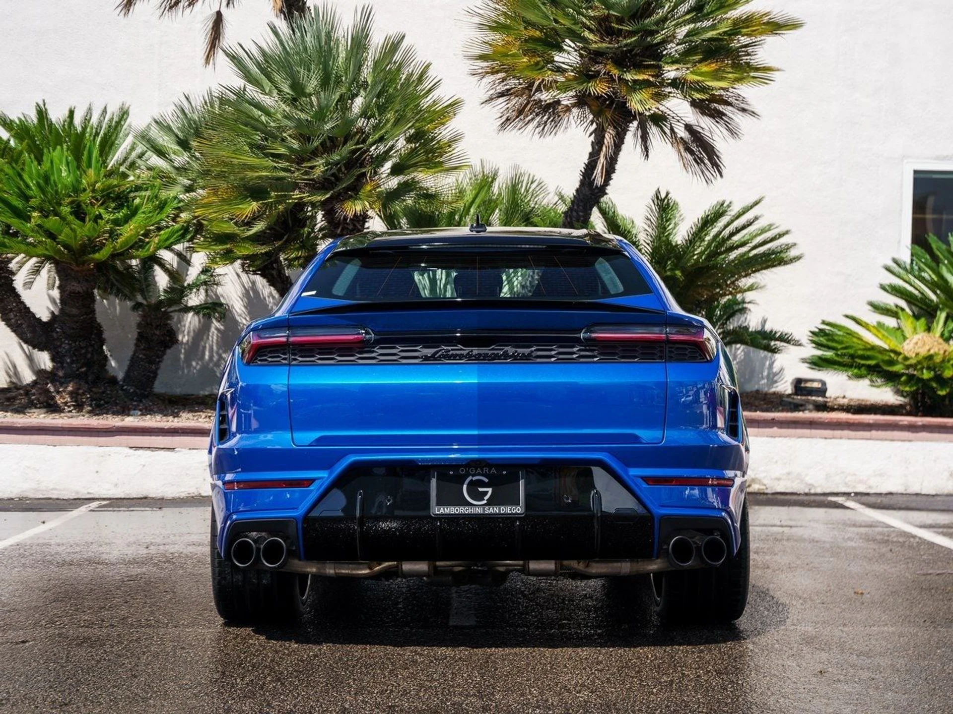 mph003_3527167538_e9a708157bf43bb3ff71063479639290x_29745cdcf0