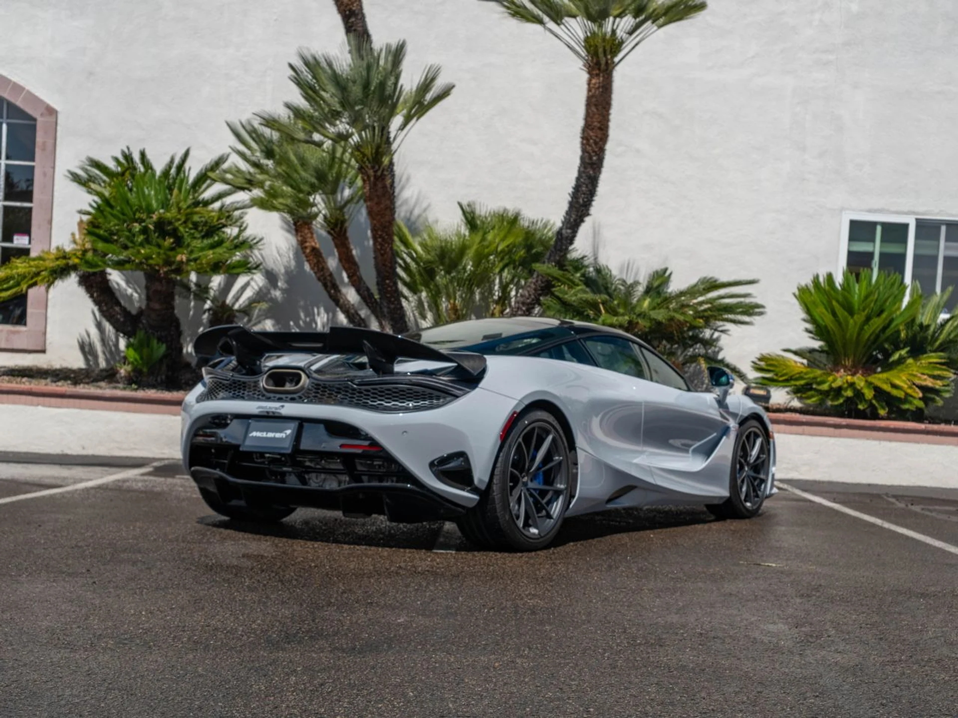 mph003_3556759549_5c9a5661763578a0a38c750c09e04640x_69f362605f