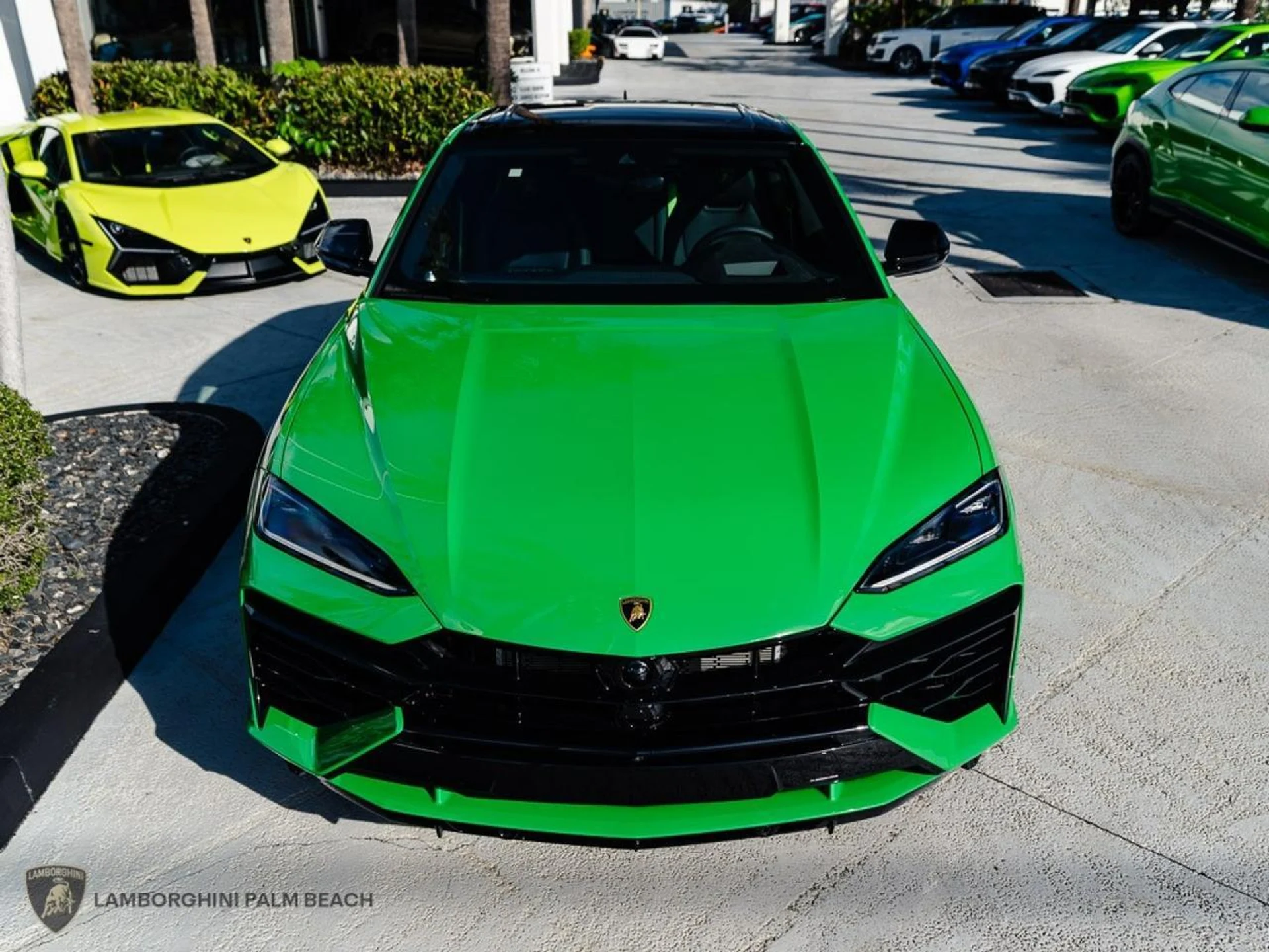 mph003_3564435813_4a3c7e3ca15e3c950f992a1ff5d41d37_ca5159e2f0