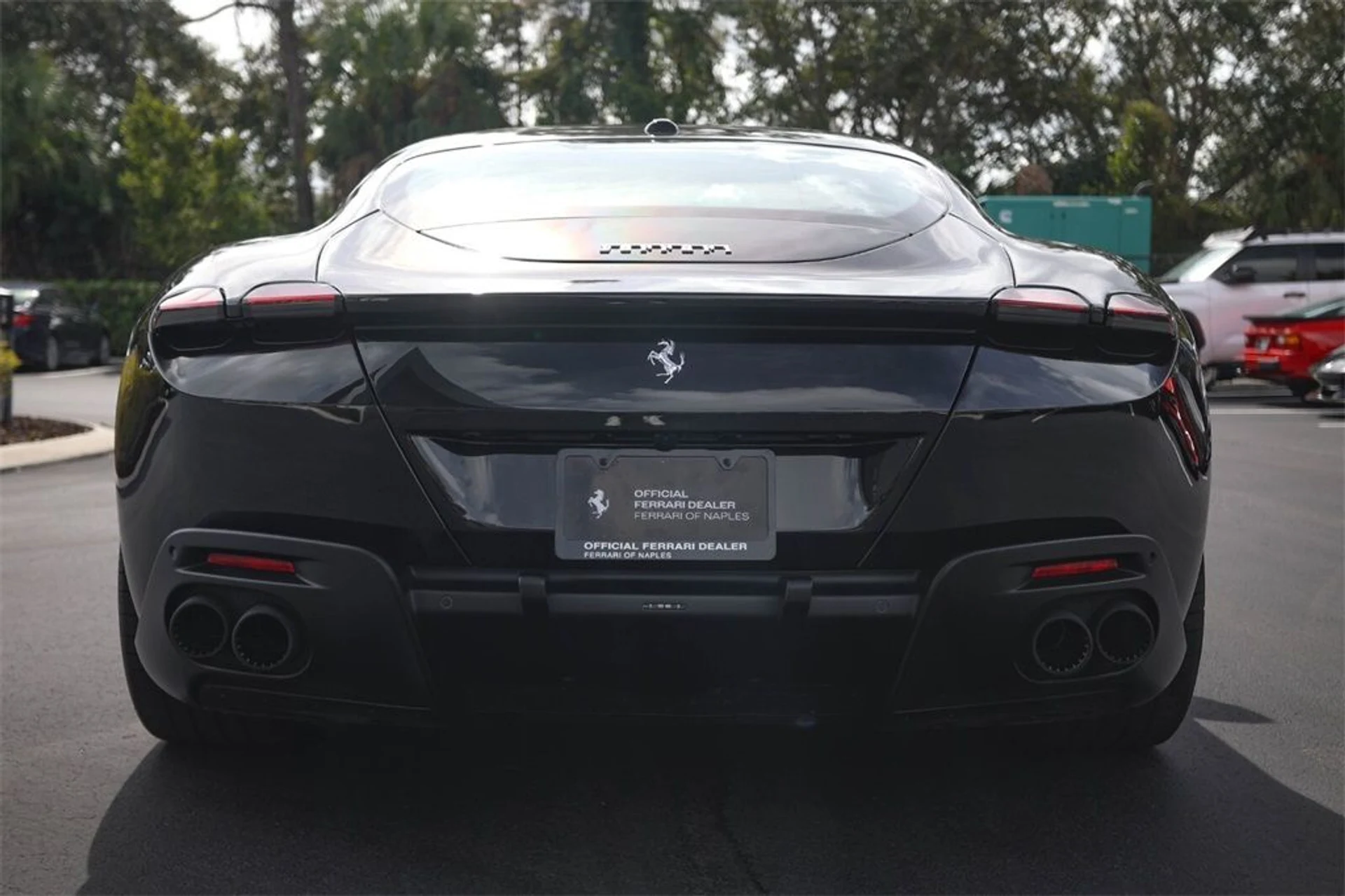 mph003_3587644482_d9025b7bf00b05247fd5402143088a22_9df4c74bae