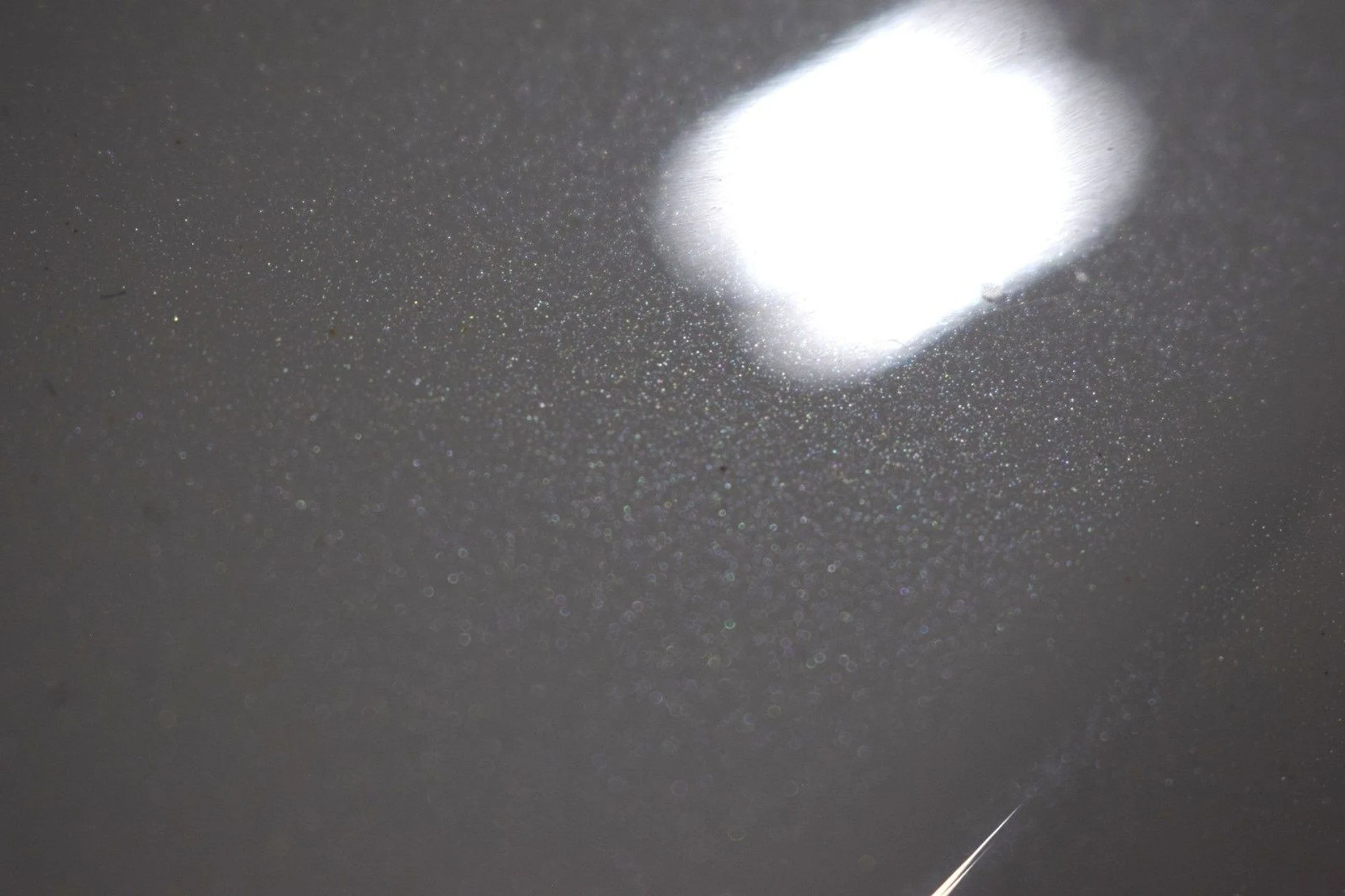 mph003_3719899405_35618b2fc79b05c8394ecd769c3c2b8dx_576ec4d022