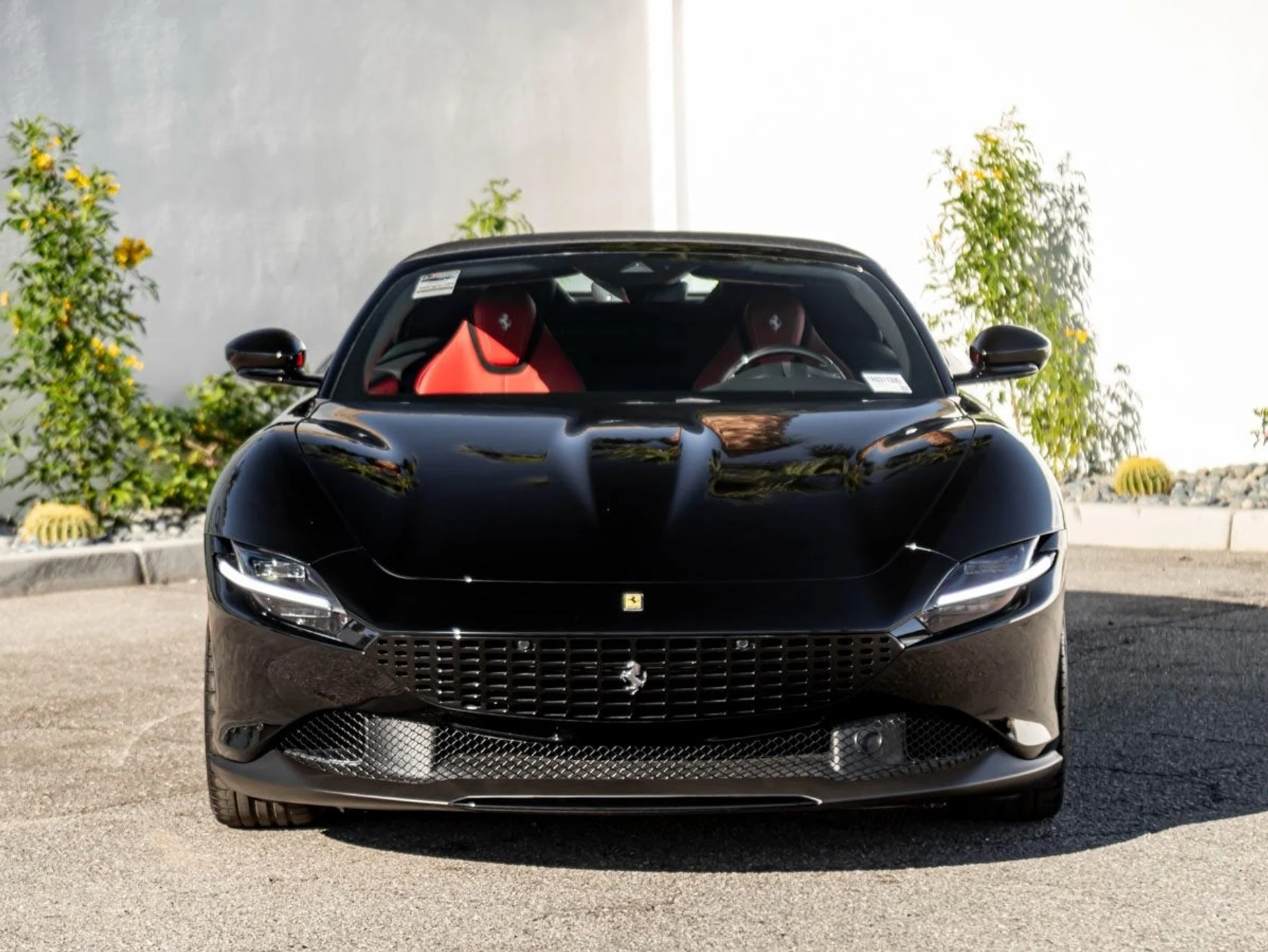 mph003_3888064464_4_38876d1c33