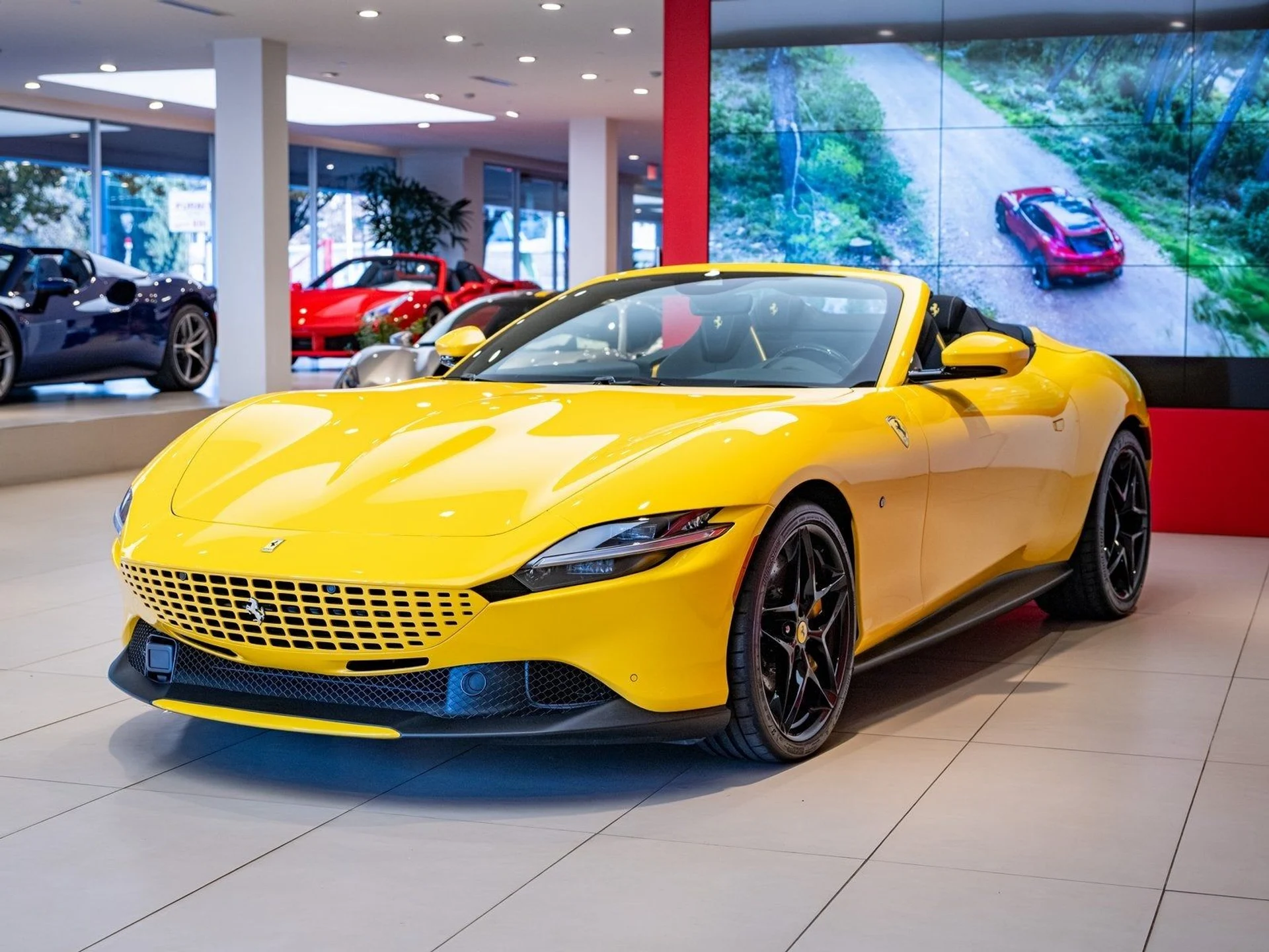 mph003_3923618360_4_08ad2f2228