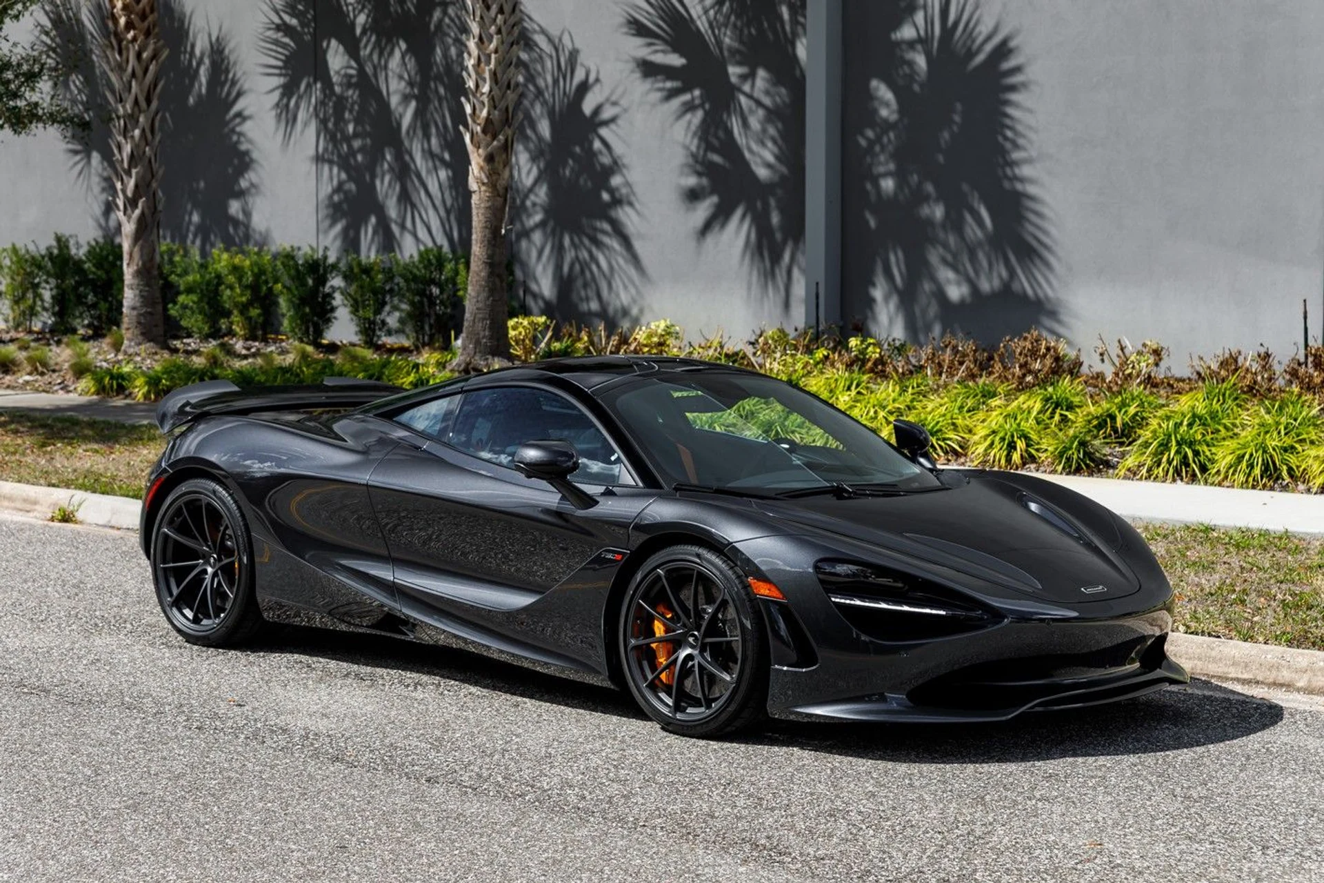 mph003_3990184403_655_p4_l_d18386a776