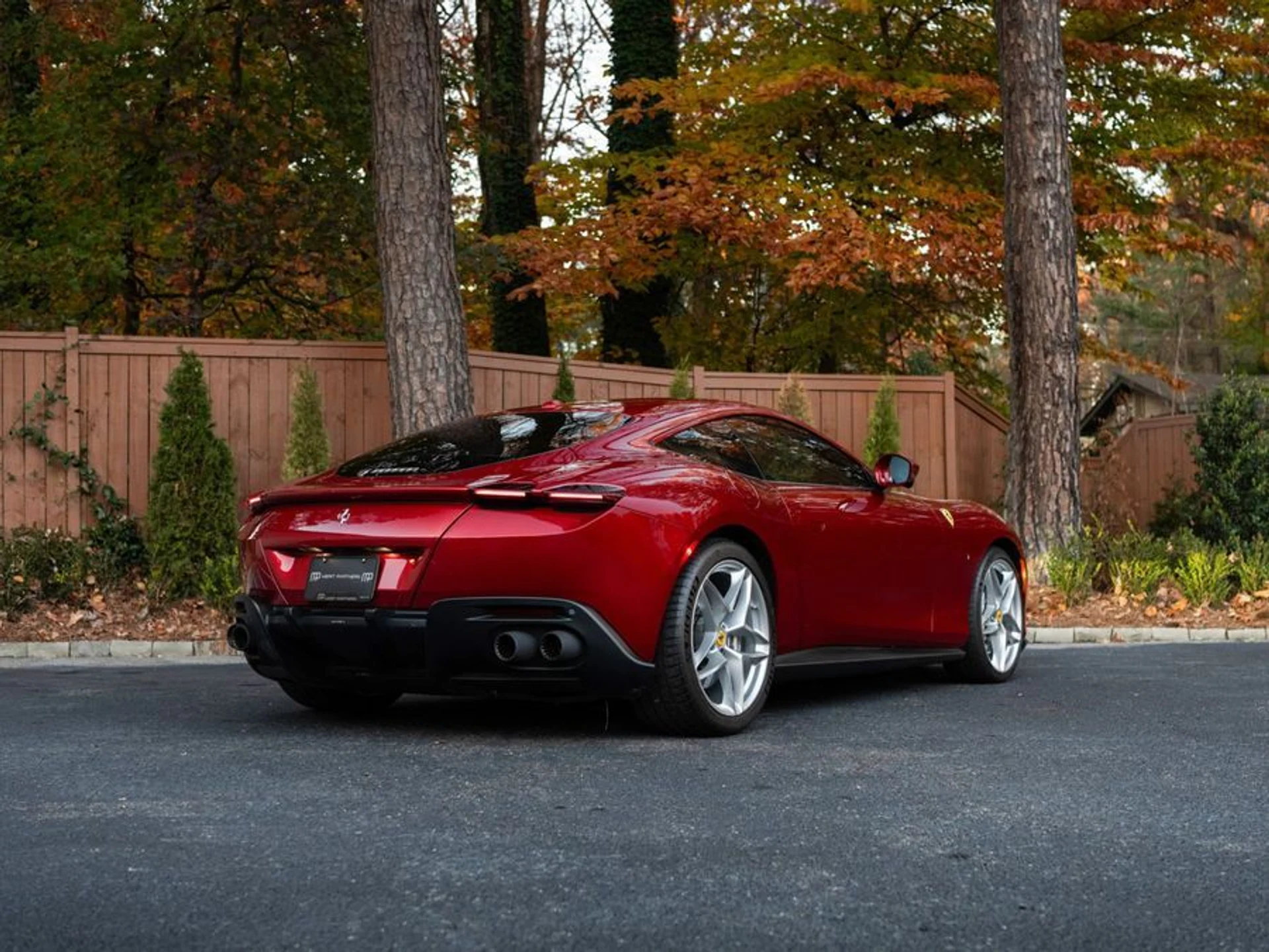 mph003_4126540599_136645a8_c19d_43ff_91fa_337b762b9a02_676508d772