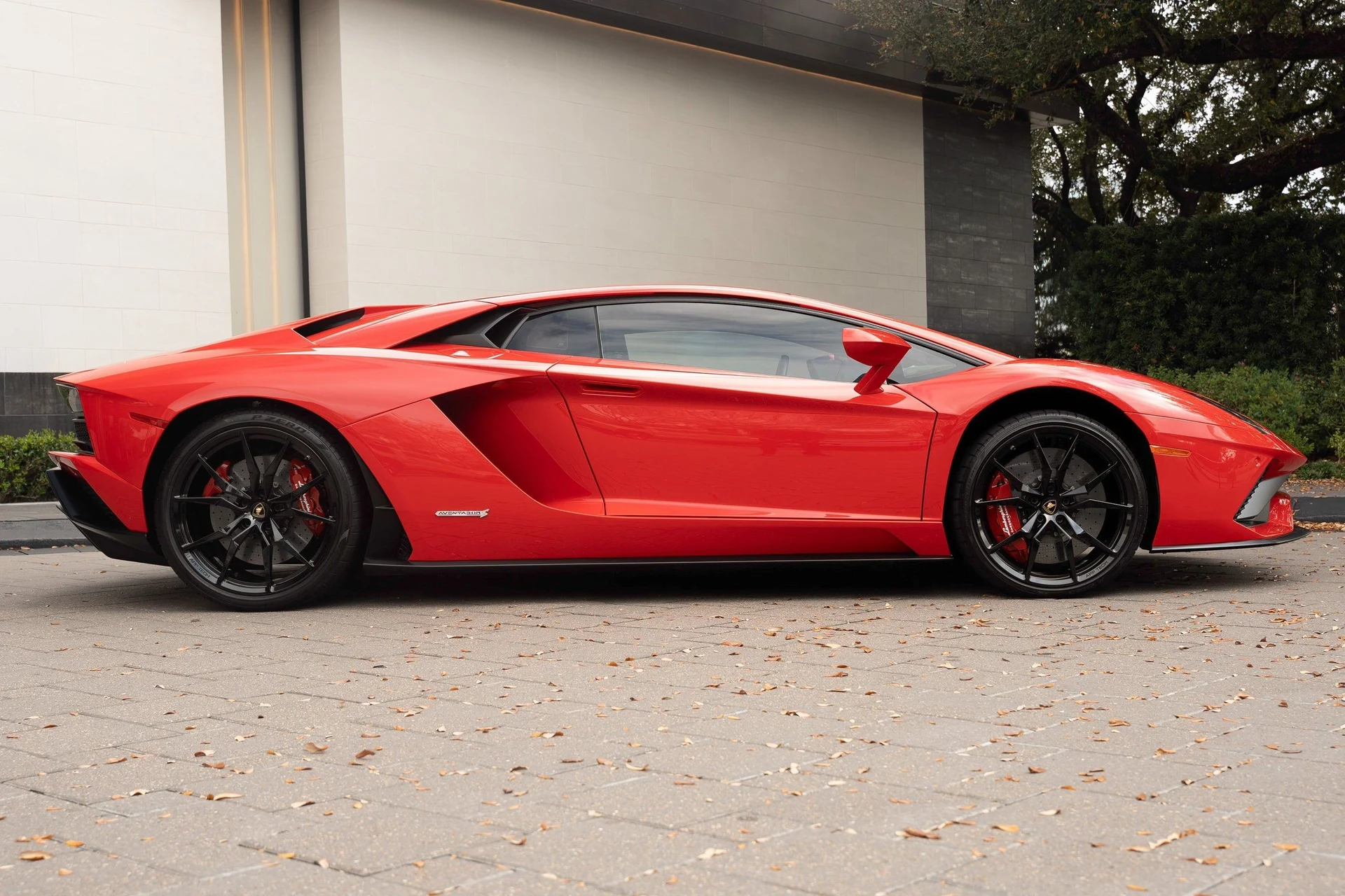 mph003_4180268688_image_4_ec57323c42