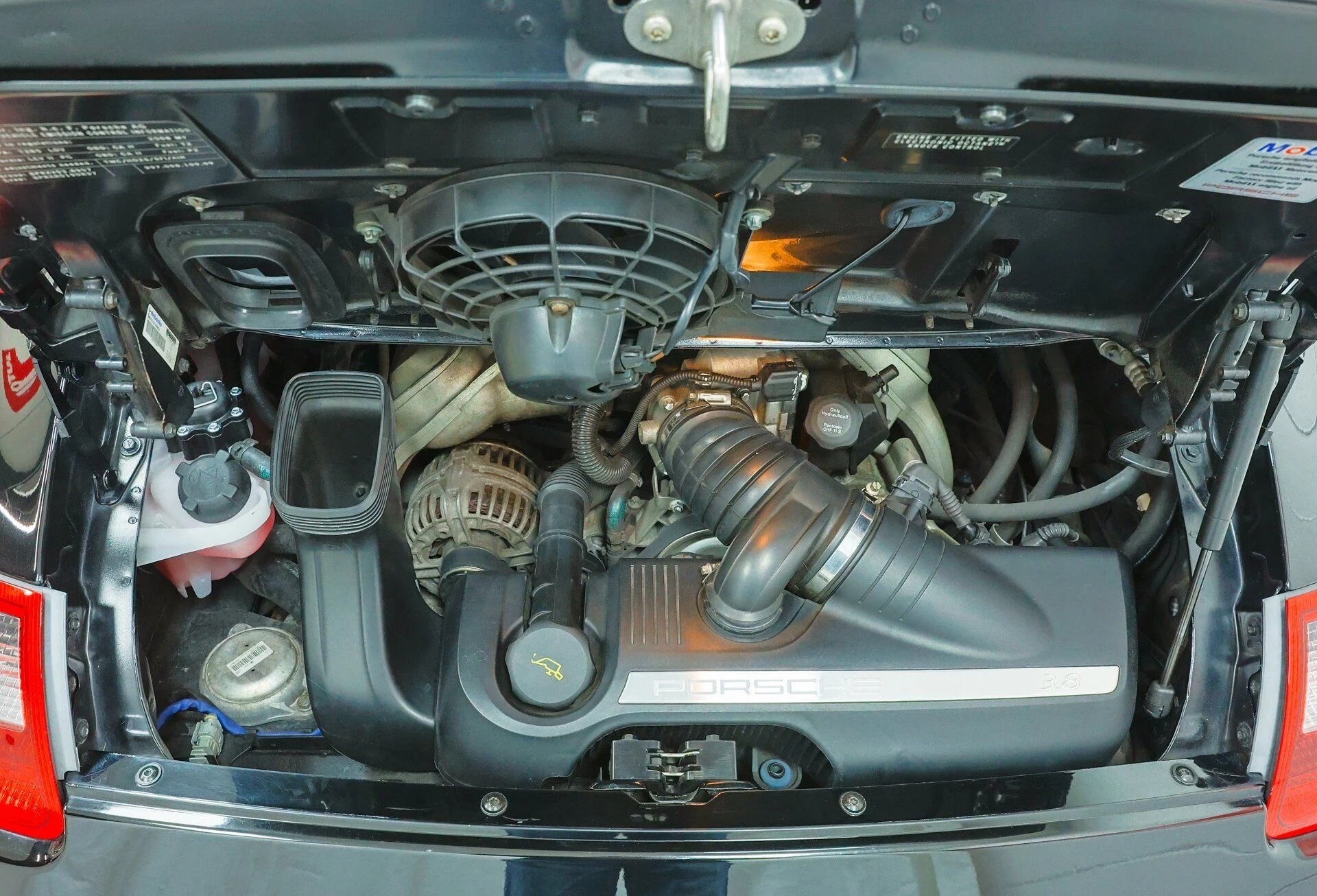 mph003_4183846565_450291ac0b_1920_dbea48b9b4