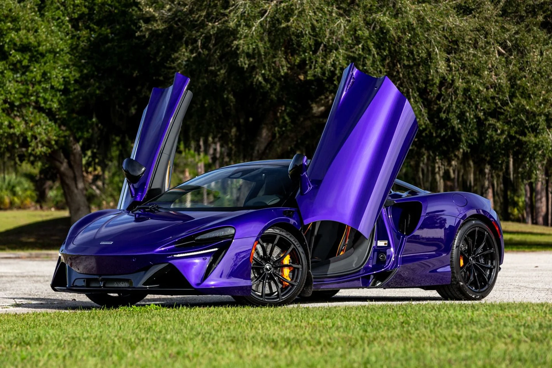 mph003_4239777478_362_p4_l_013d465ef9