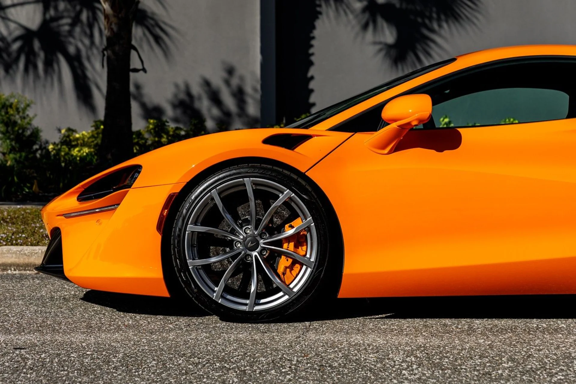 mph003_439710178_617_p4_l_c3a04351a4