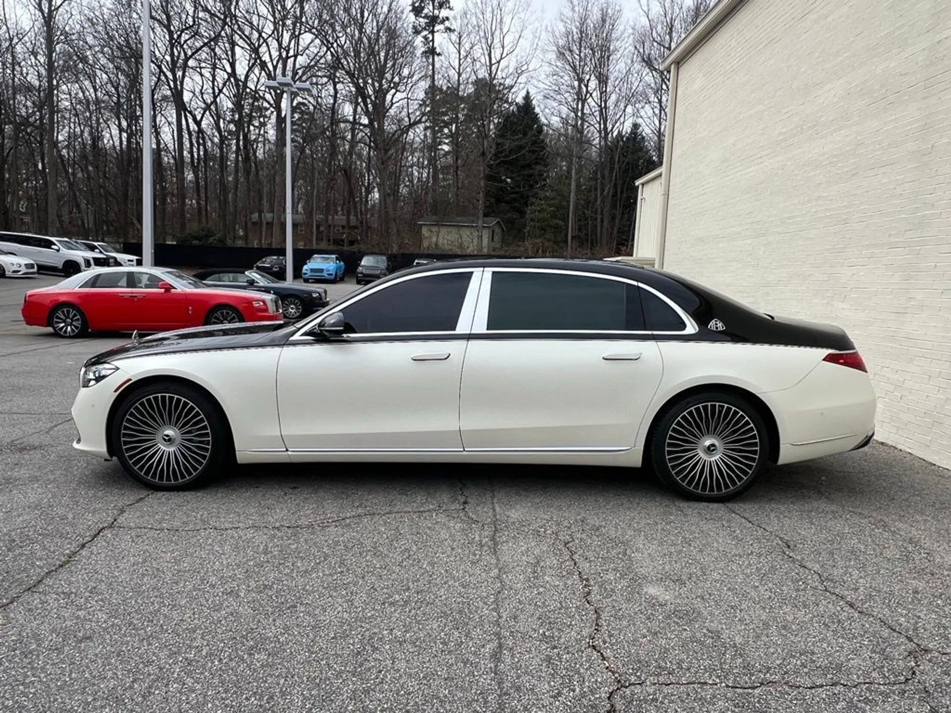 mph003_494501663_ad29d88fdac1fa8cb1eb180cab8eed1cx_95e6d4c712