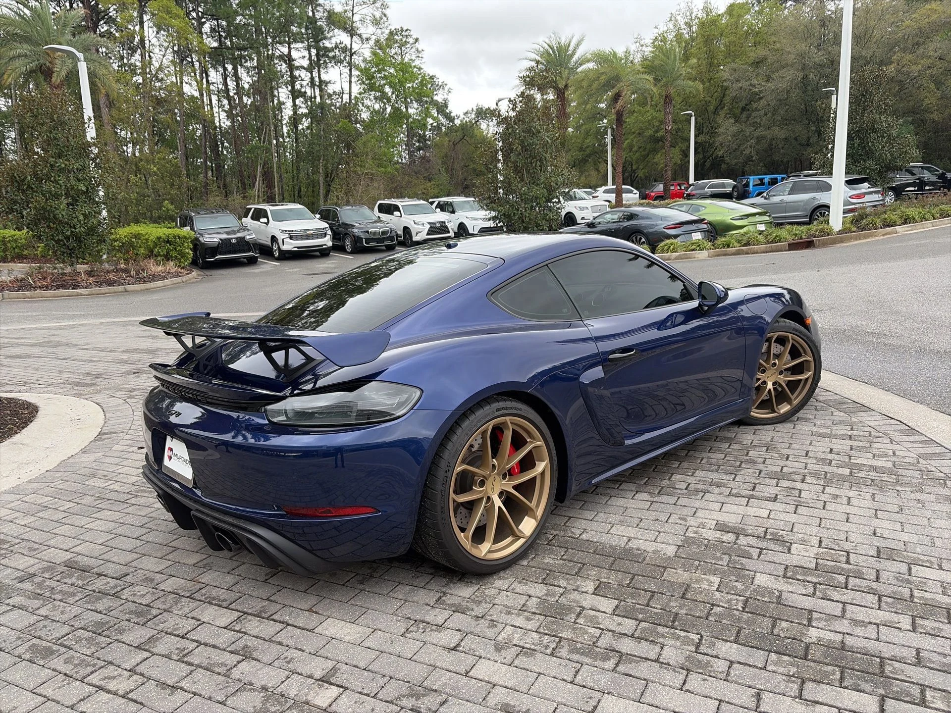 mph003_508059796_94622fecda564bd28a944ca6c49a3566_6f0eceaeda