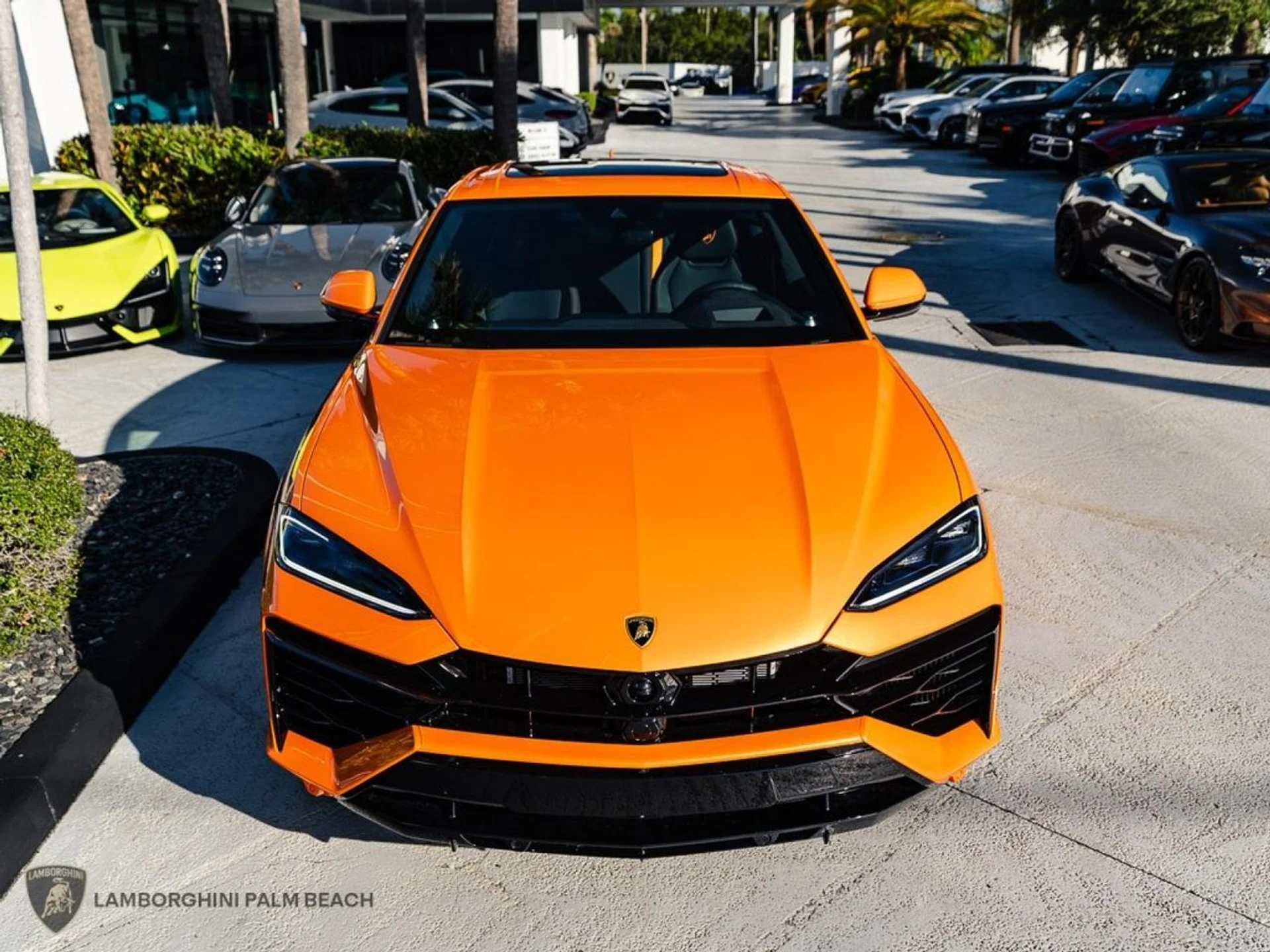 mph003_564500184_1b37b09f51f4274d56fab460b5dd3518_bbf303440b