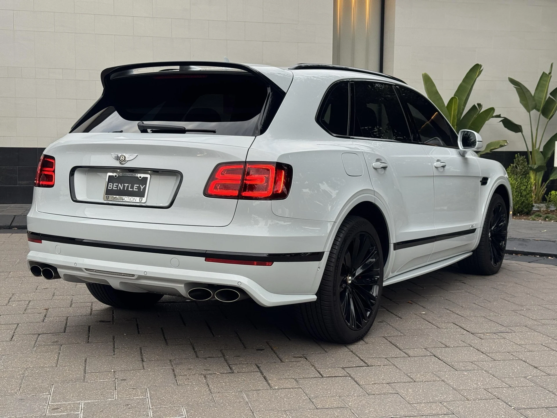 mph003_658328338_476162064_692a8dd7a43f96e18f86ca12_b3dae1f486