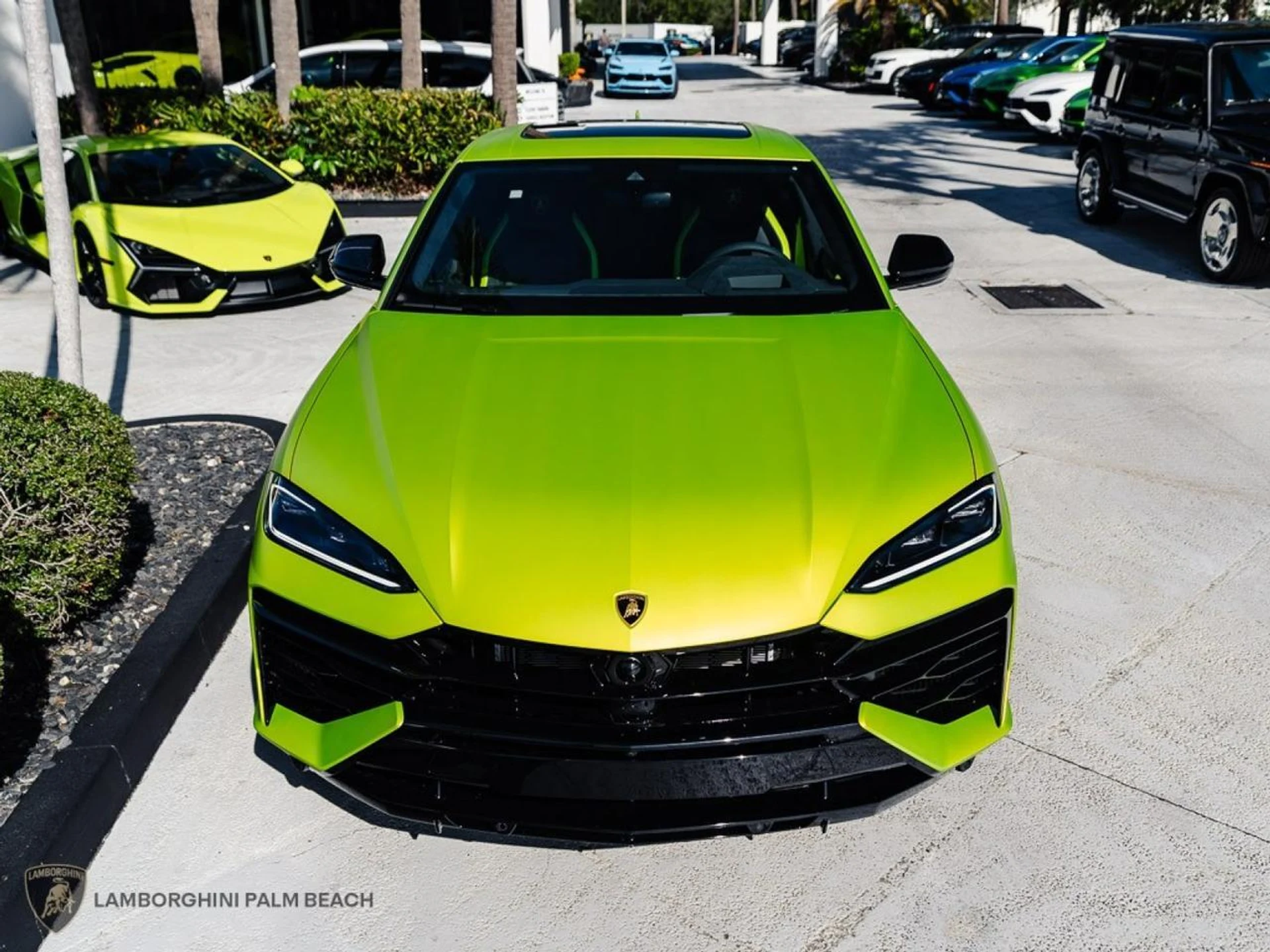 mph003_691398911_67b54a1d0bde9a26466ba77e8f10b194_80a82d5f91