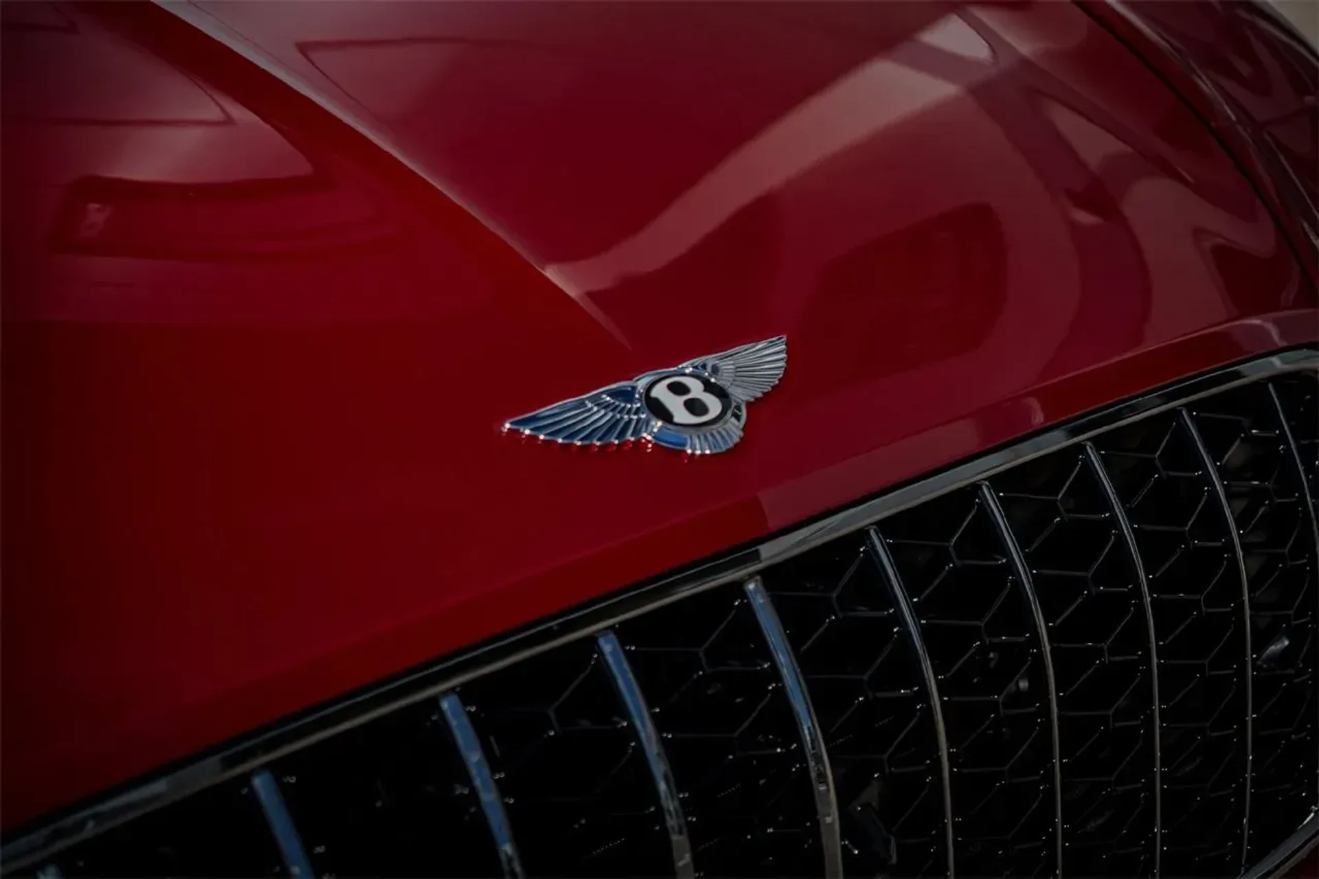 mph003_971446669_25424a3636a94e7f964e9d9797660fe5_5d92129573