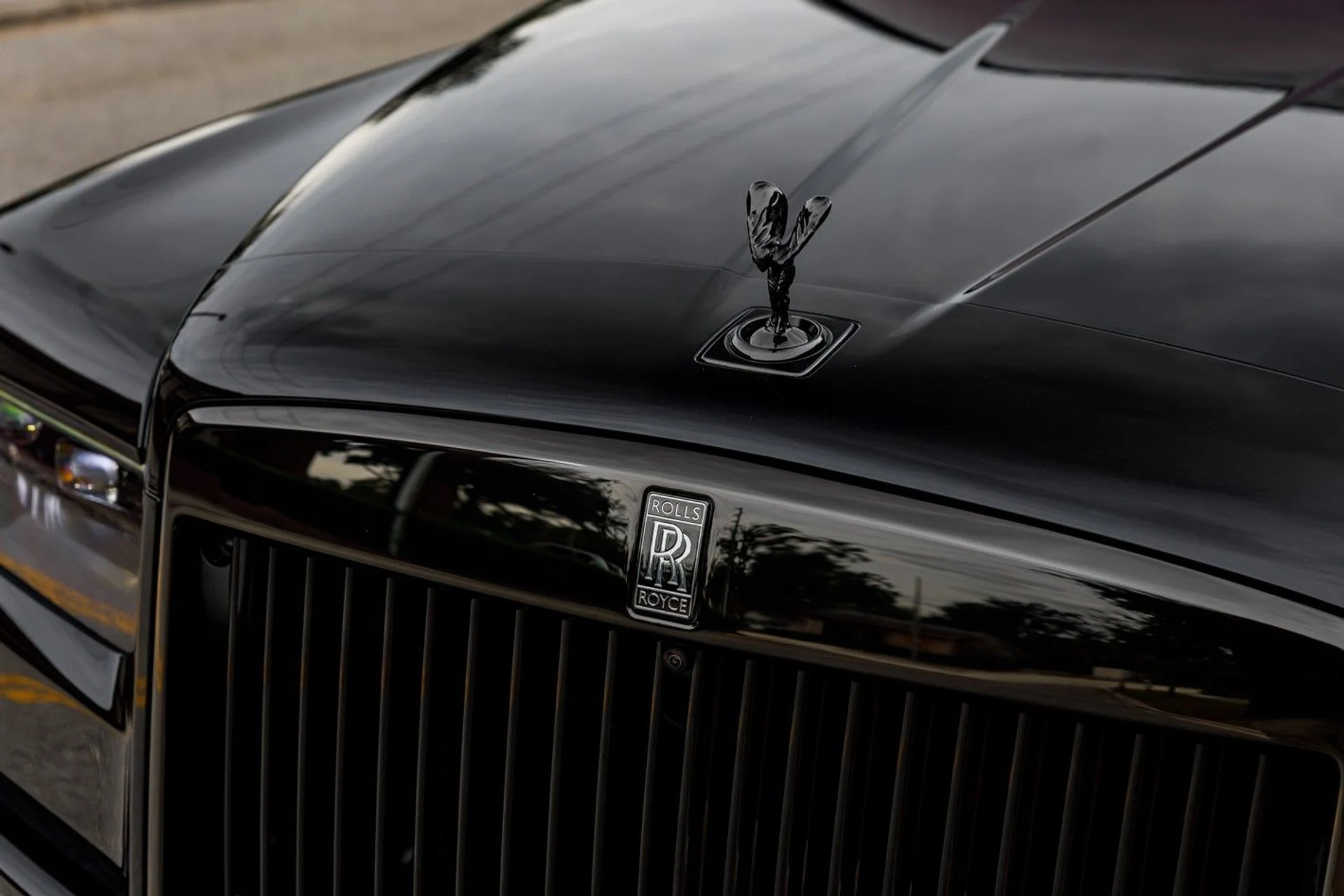 mph003_971504170_649_p4_l_3c9556e06c