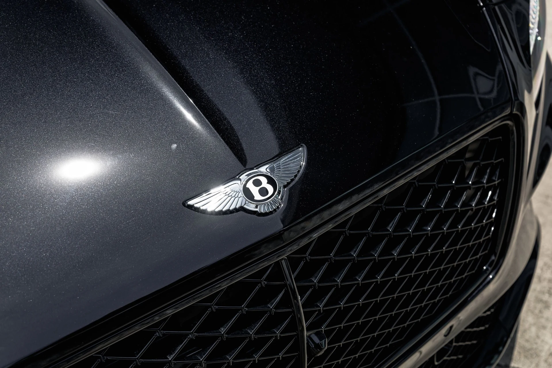 mph003_991323872_ba31aeab65d564130128c40dd97b818ax_661feee3da