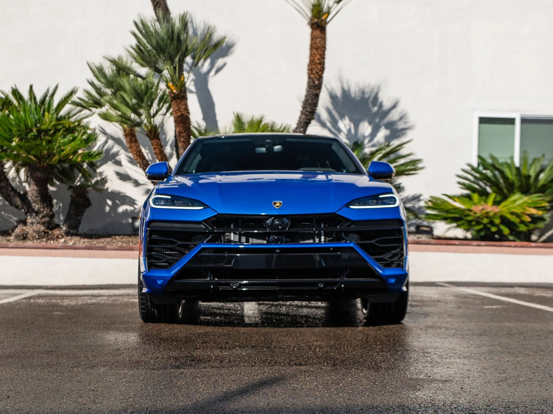 mph004_1001674945_62203d2f61d24d64b99da8f5f723b89c_e658ac1878