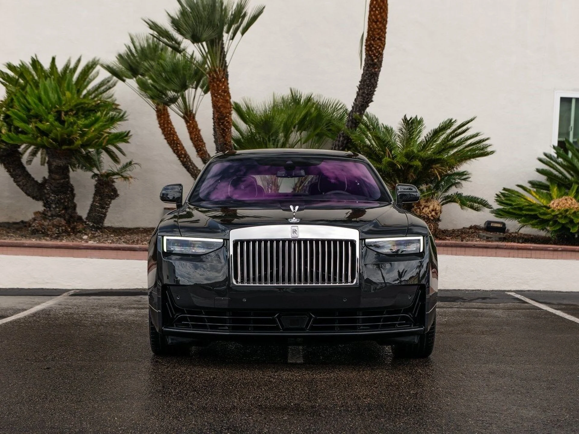 mph004_1016427890_209acb7d66adfd0276b2c1b9463ffc0dx_b53e648520