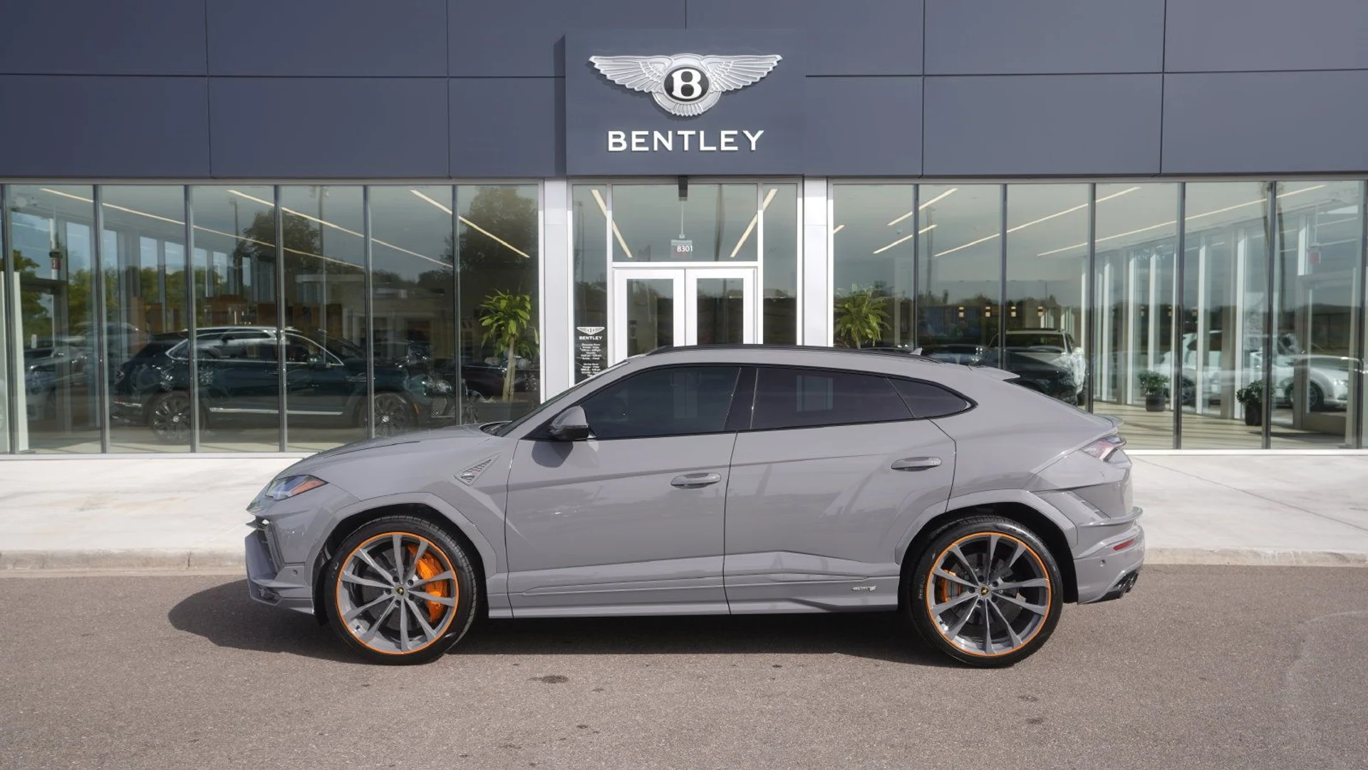 mph004_1059739338_5115b258_618a_4e8e_9a87_ba1a9b6eea4b_cb38b262a7