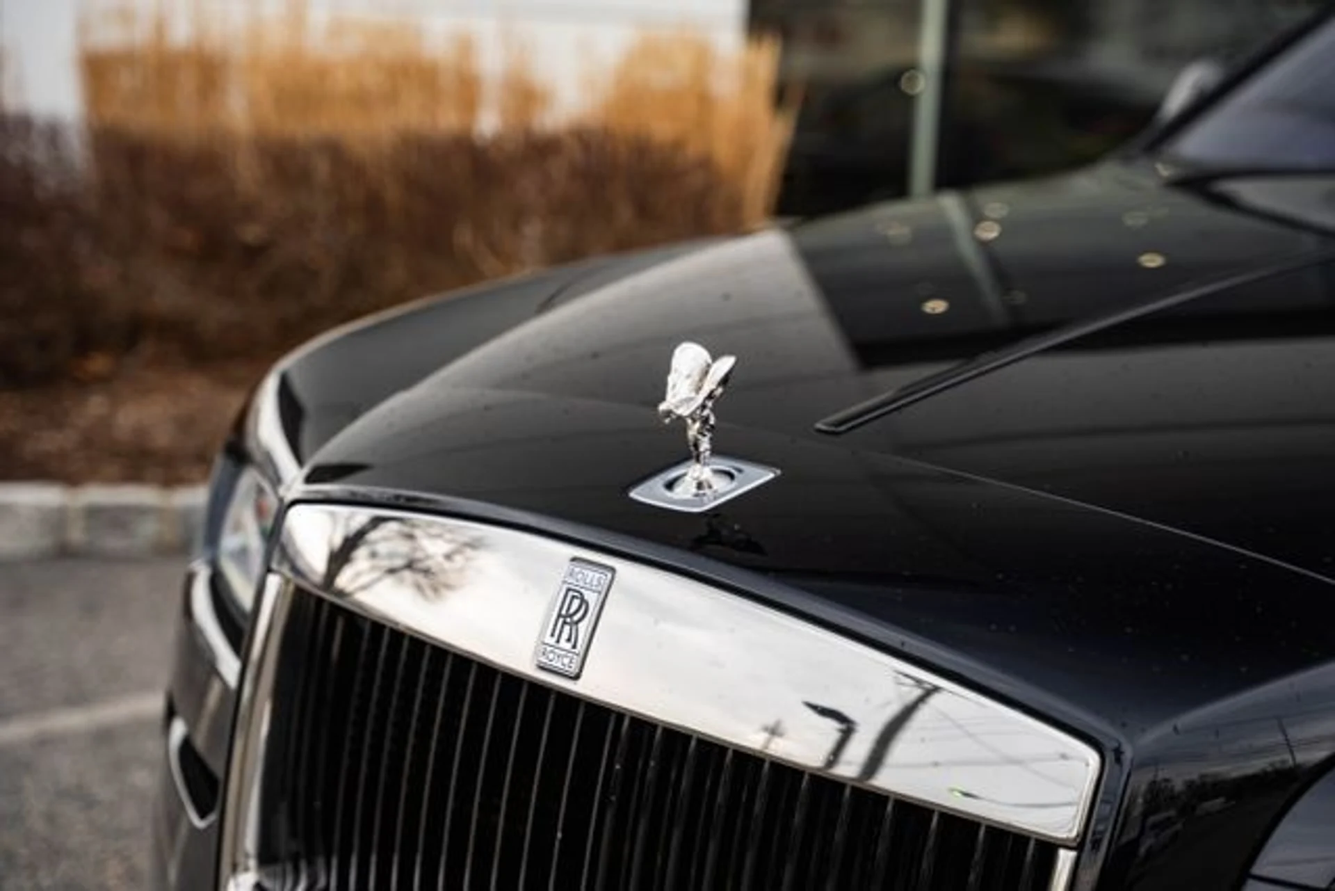 mph004_1095612389_256f7e19a5c52cf9df4b91a5b03e0b45_a561d00b5b