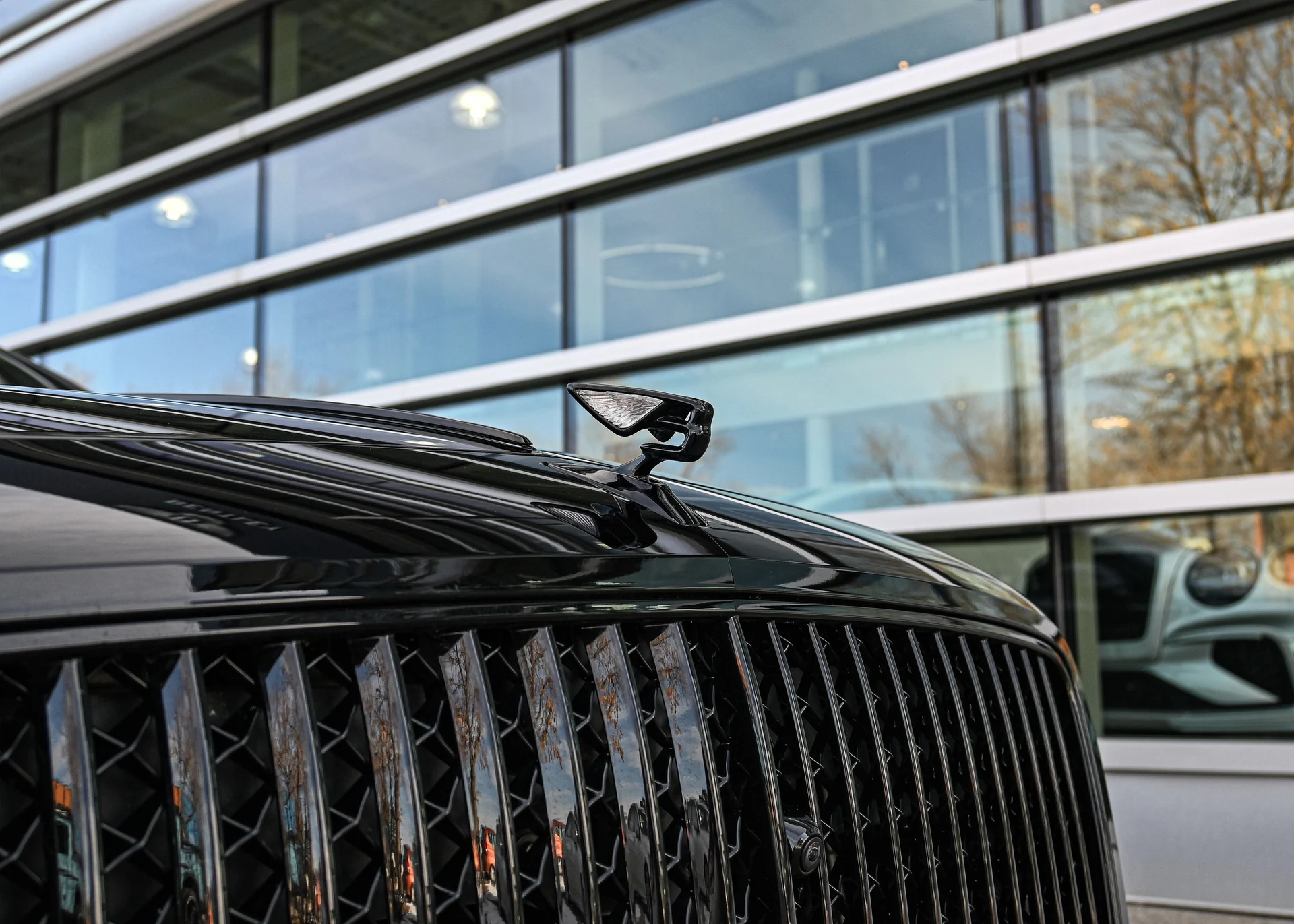 mph004_1168831866_2be9e328_ad33_4880_8900_a0cd68a98b49_9b1b7d7de9