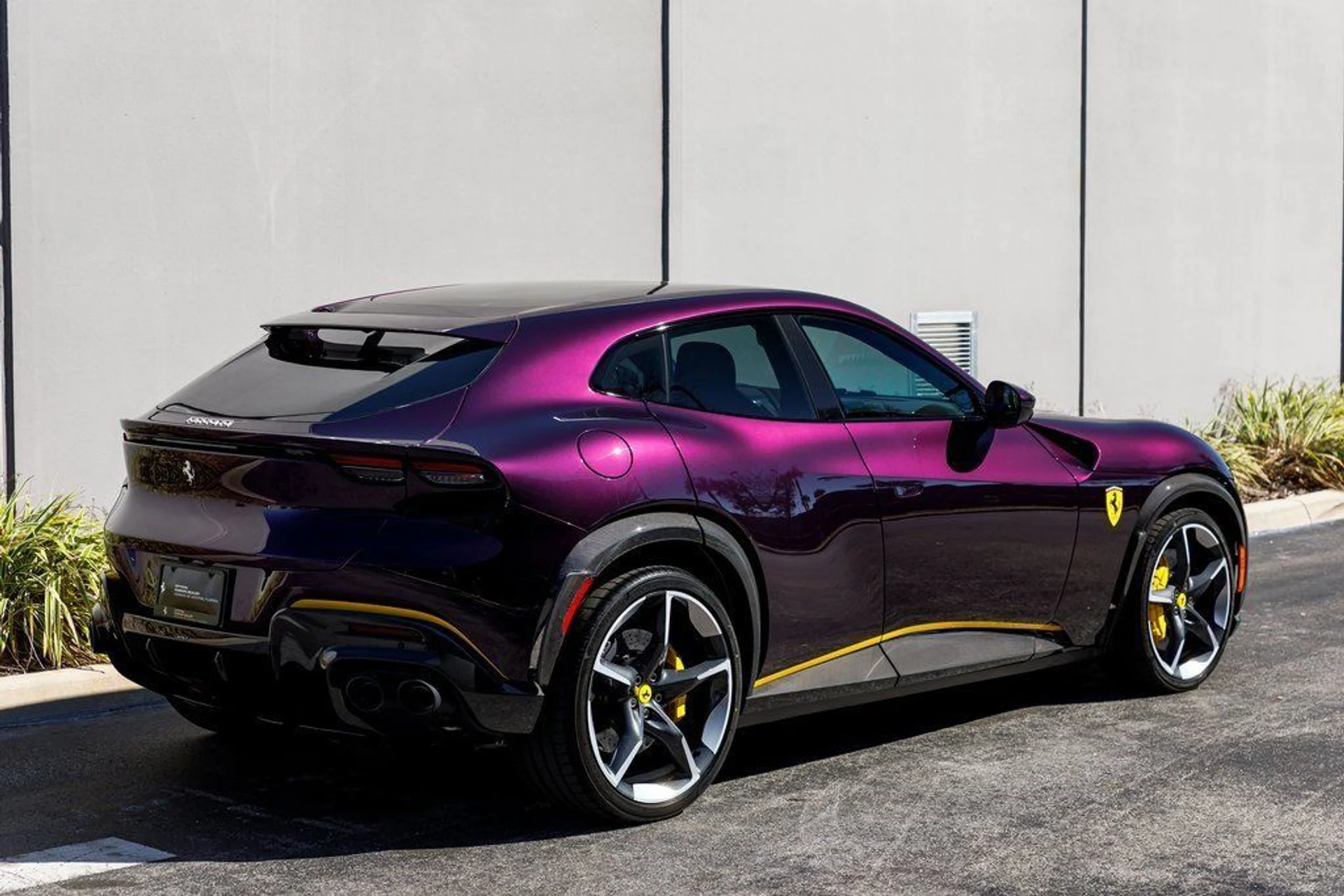 mph004_1258127847_623909bf7386c6d2e0796545400a5b2a_0f2a31898c