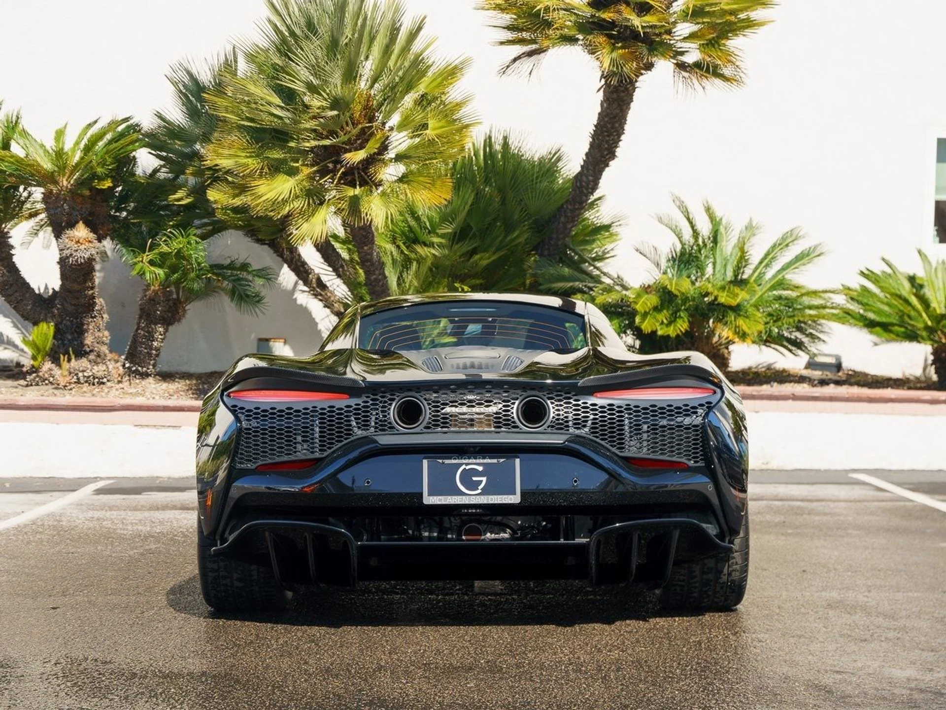 mph004_1264679007_b1985ab1ca883ea737eb31a1397ef837x_3c019be364